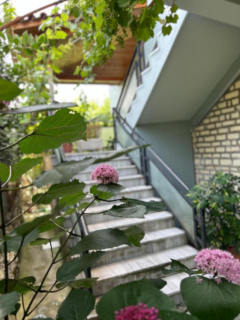 Berat Guesthouse Katerina