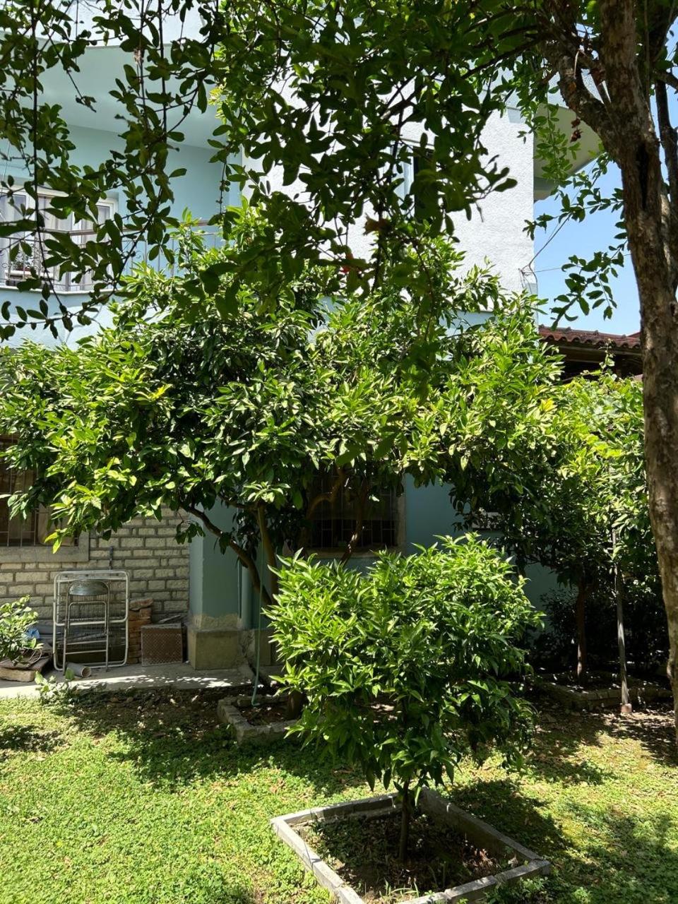 Berat Guesthouse Katerina