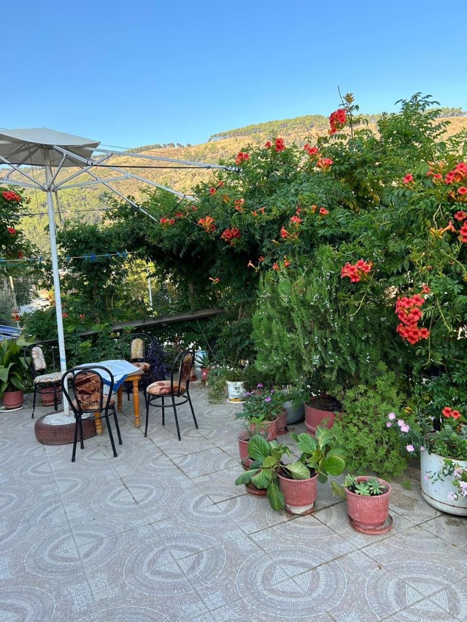 Berat Guesthouse Katerina
