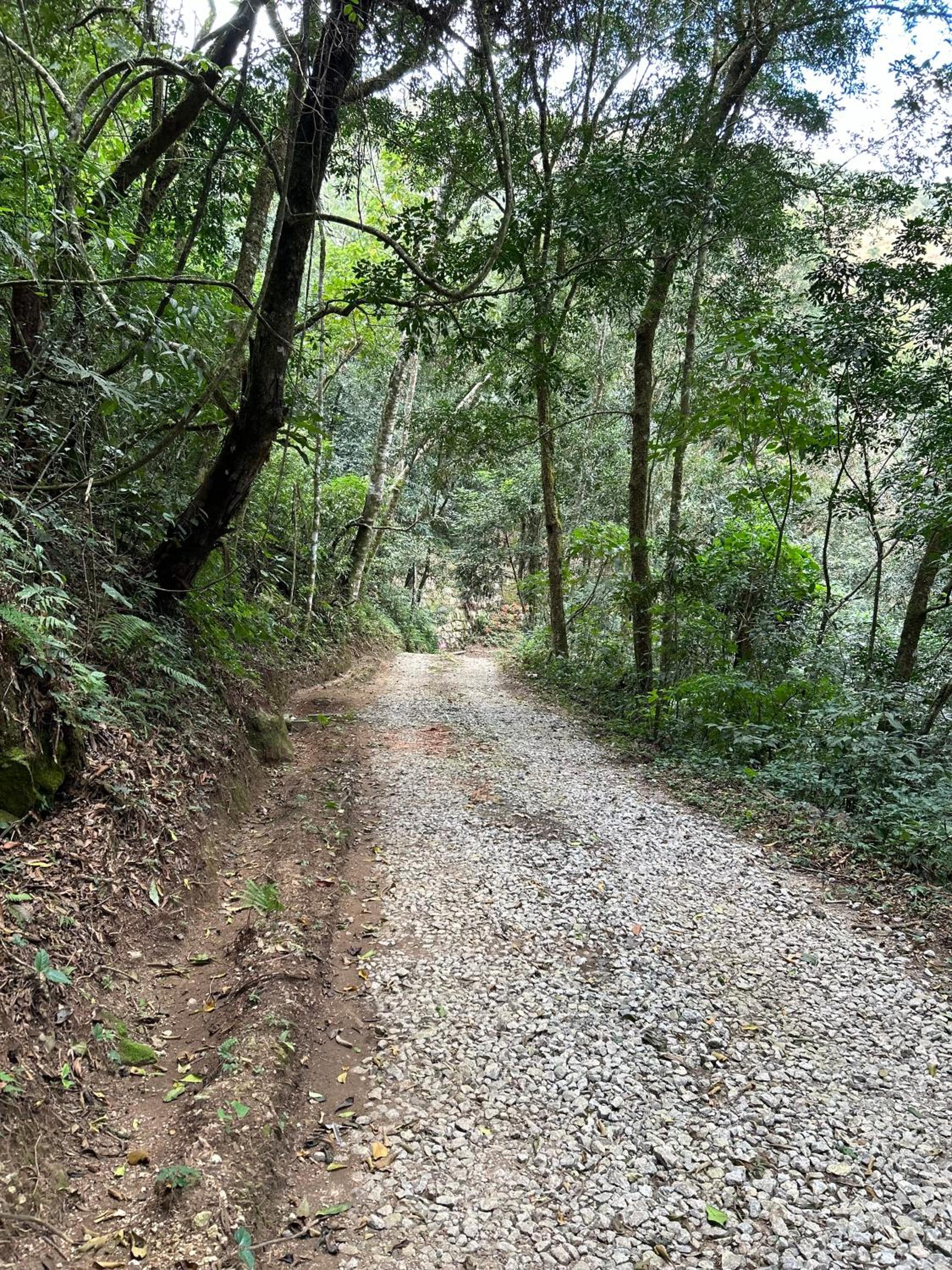 Casa de Montanha em Campos do Jordão