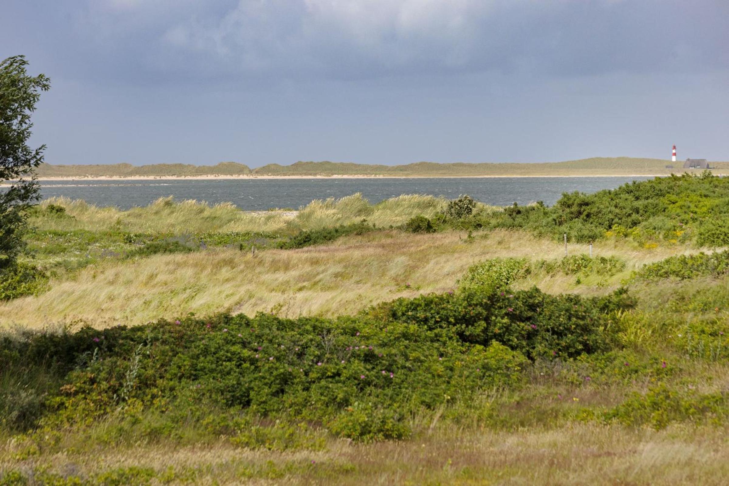 Landsend