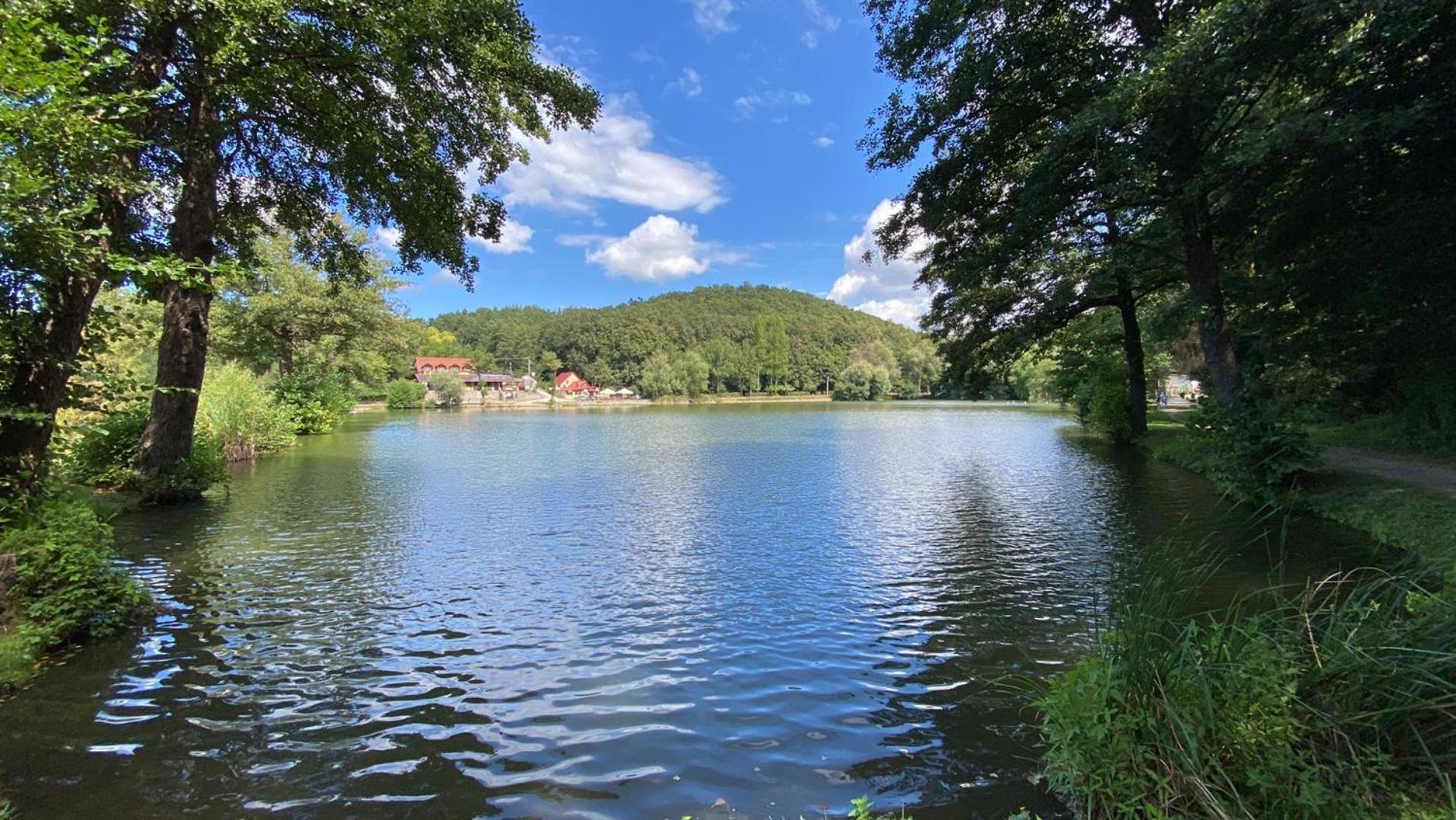 Mazsola