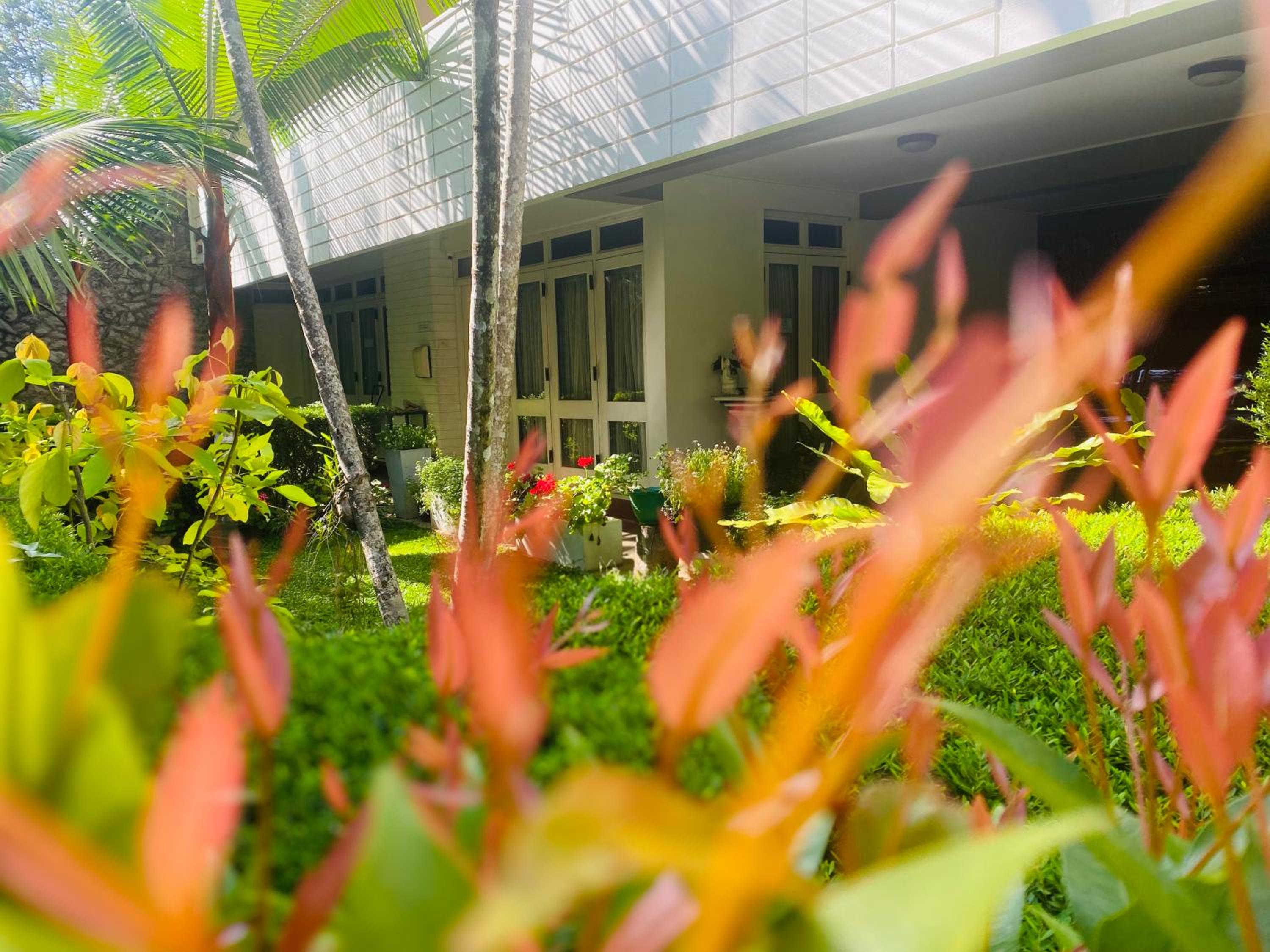 Palm Grove Bandarawela view 4