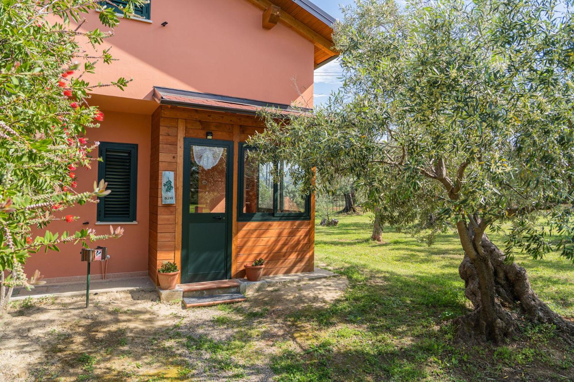 La Piana degli Ulivi