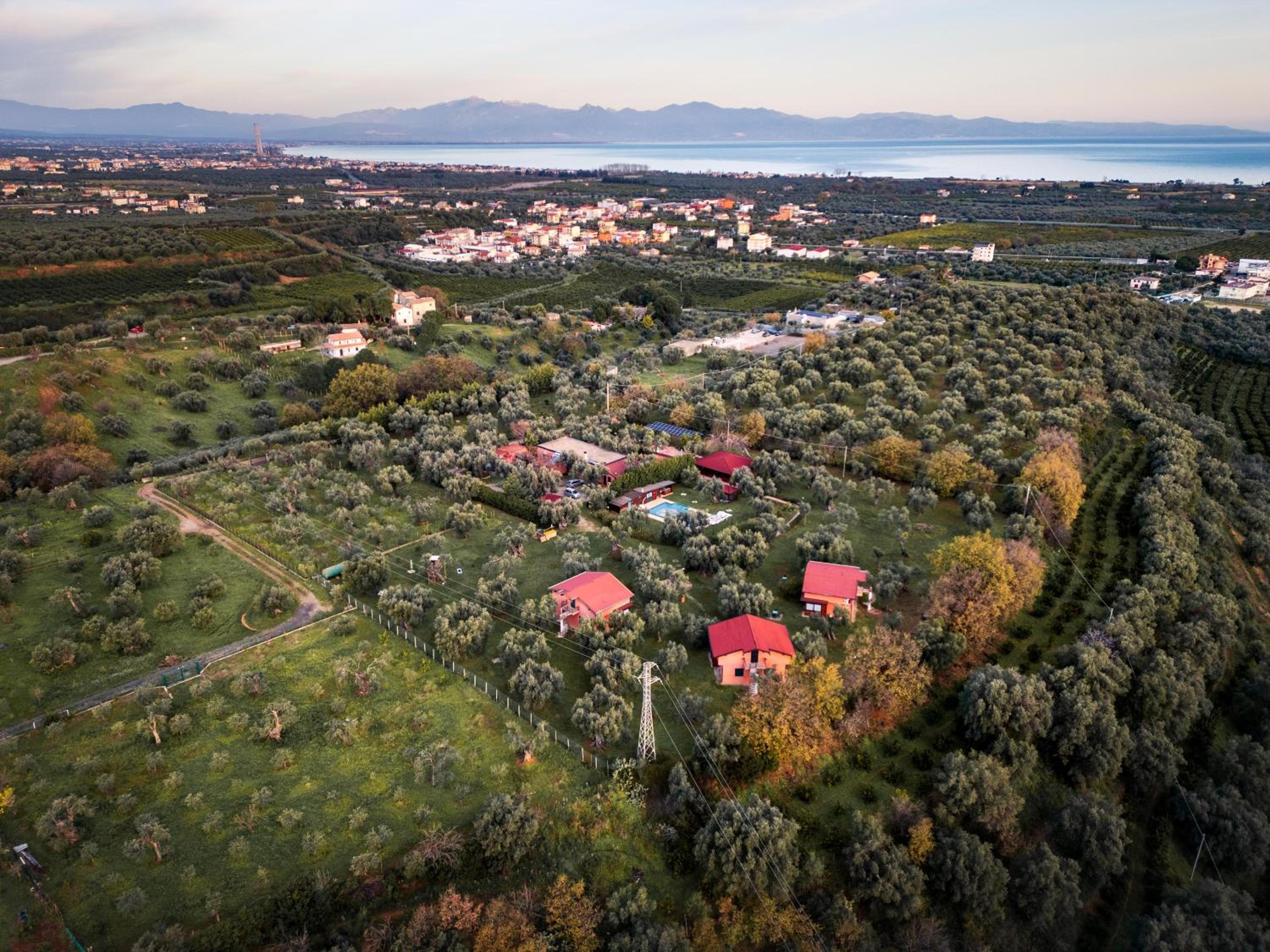 La Piana degli Ulivi
