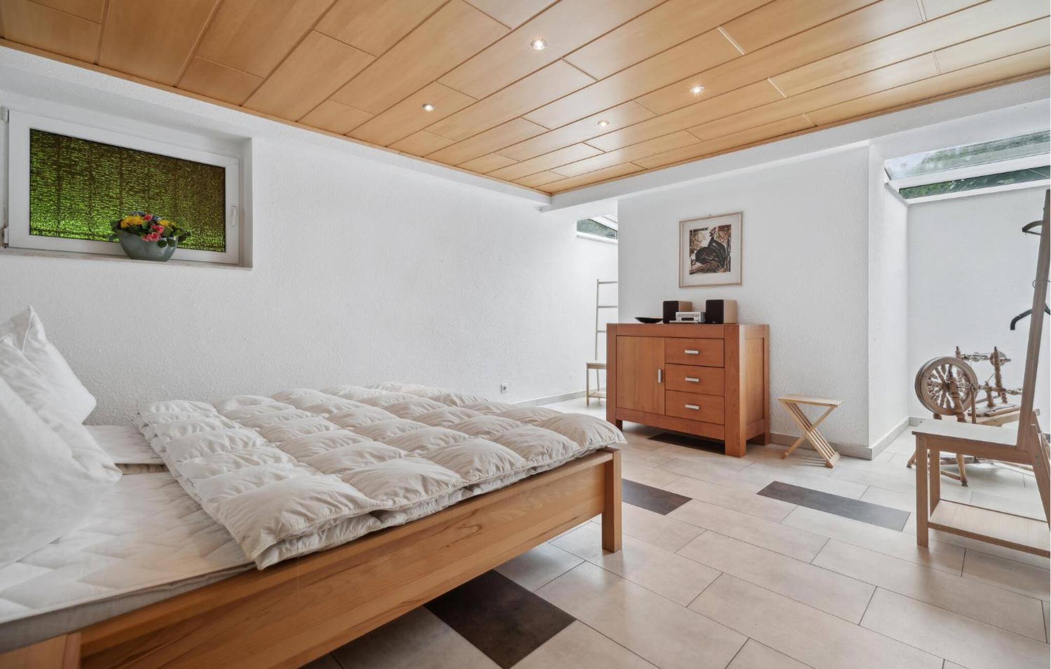 Beautiful Home In Bad Brambach With Sauna - Property Image 9
