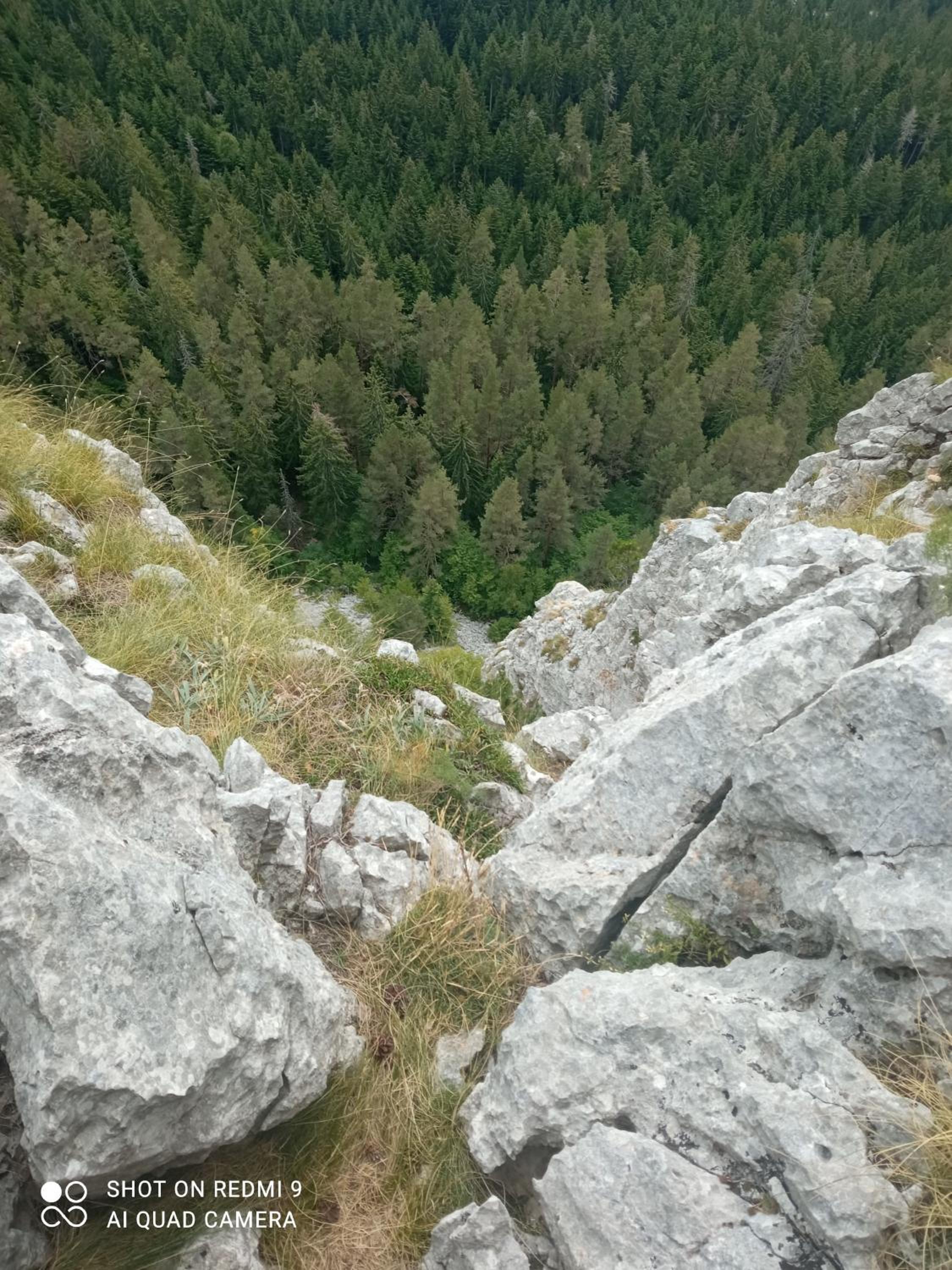 Apartman KNEZ Pale Jahorina