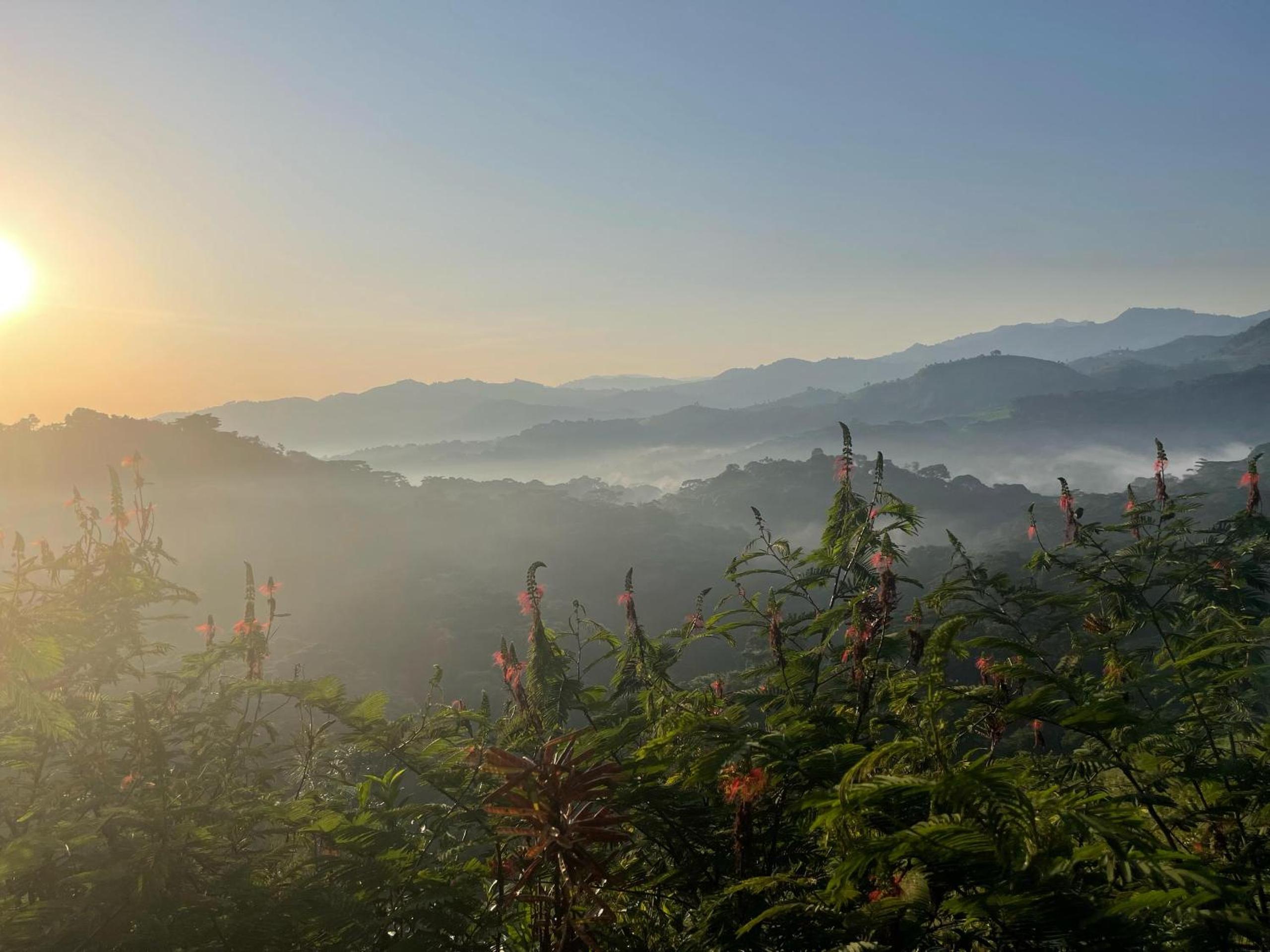 Bwindi Neckview Lodge