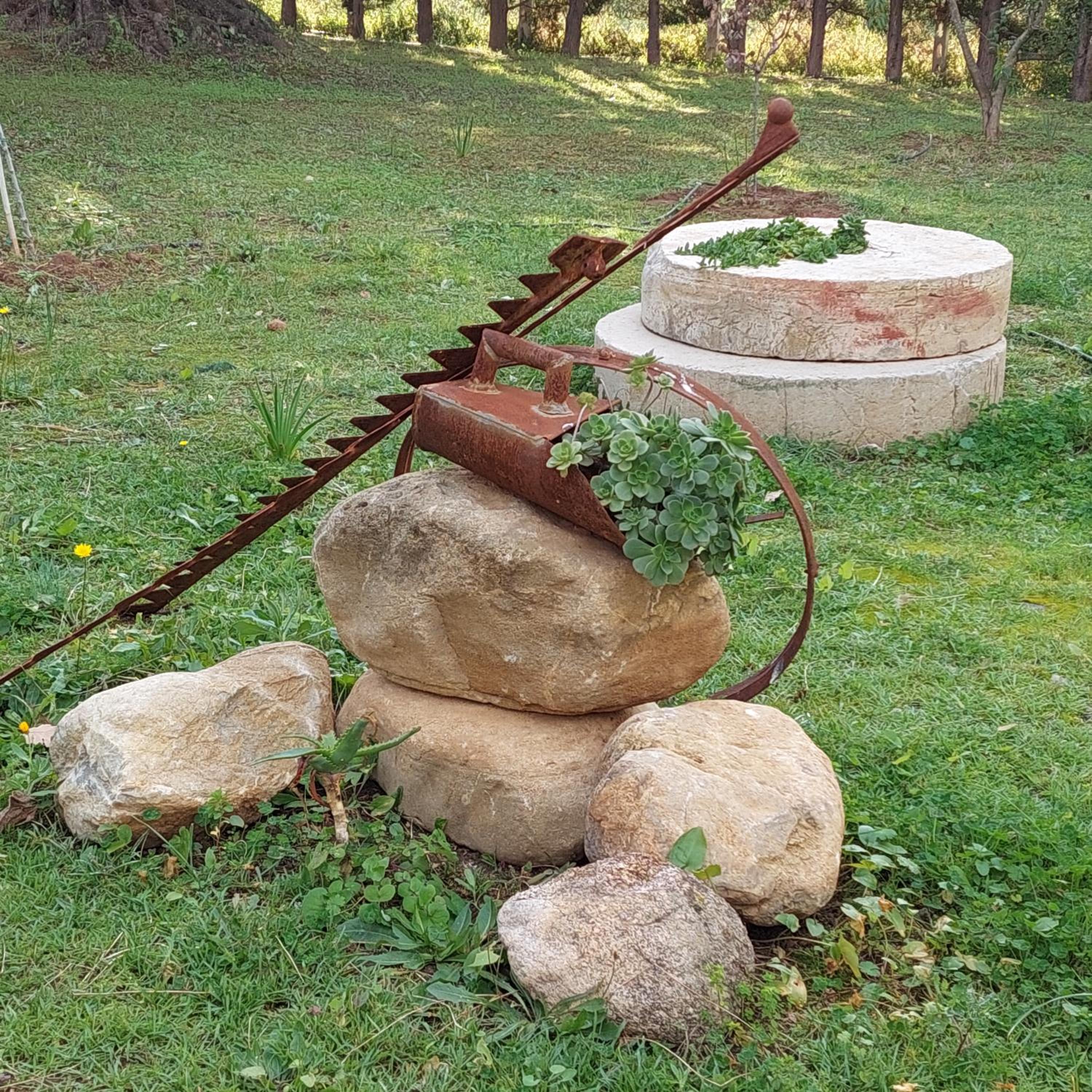 La Piana degli Ulivi