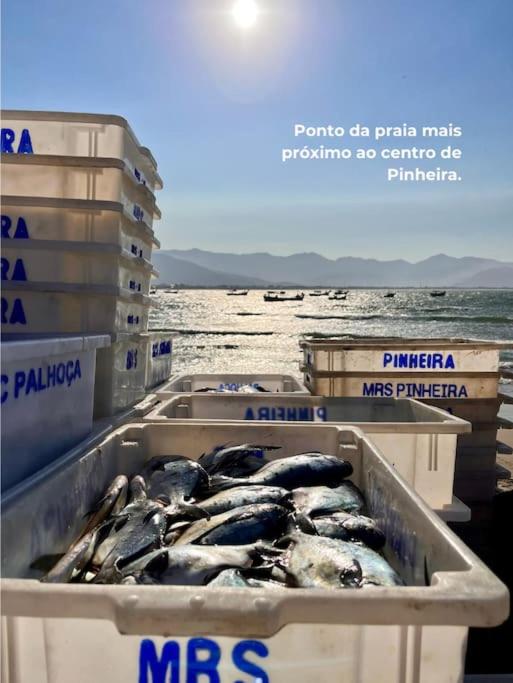 Apto familiar com piscina, ar condicionado, churrasqueira, garagem e quintal à 450m da praia
