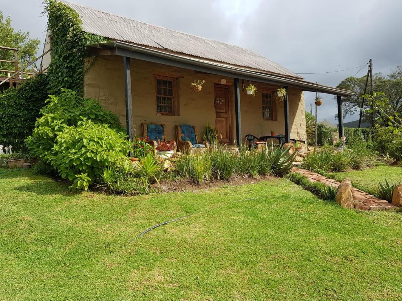 Old Cape Cottage (Duck & DoLittle) view 3