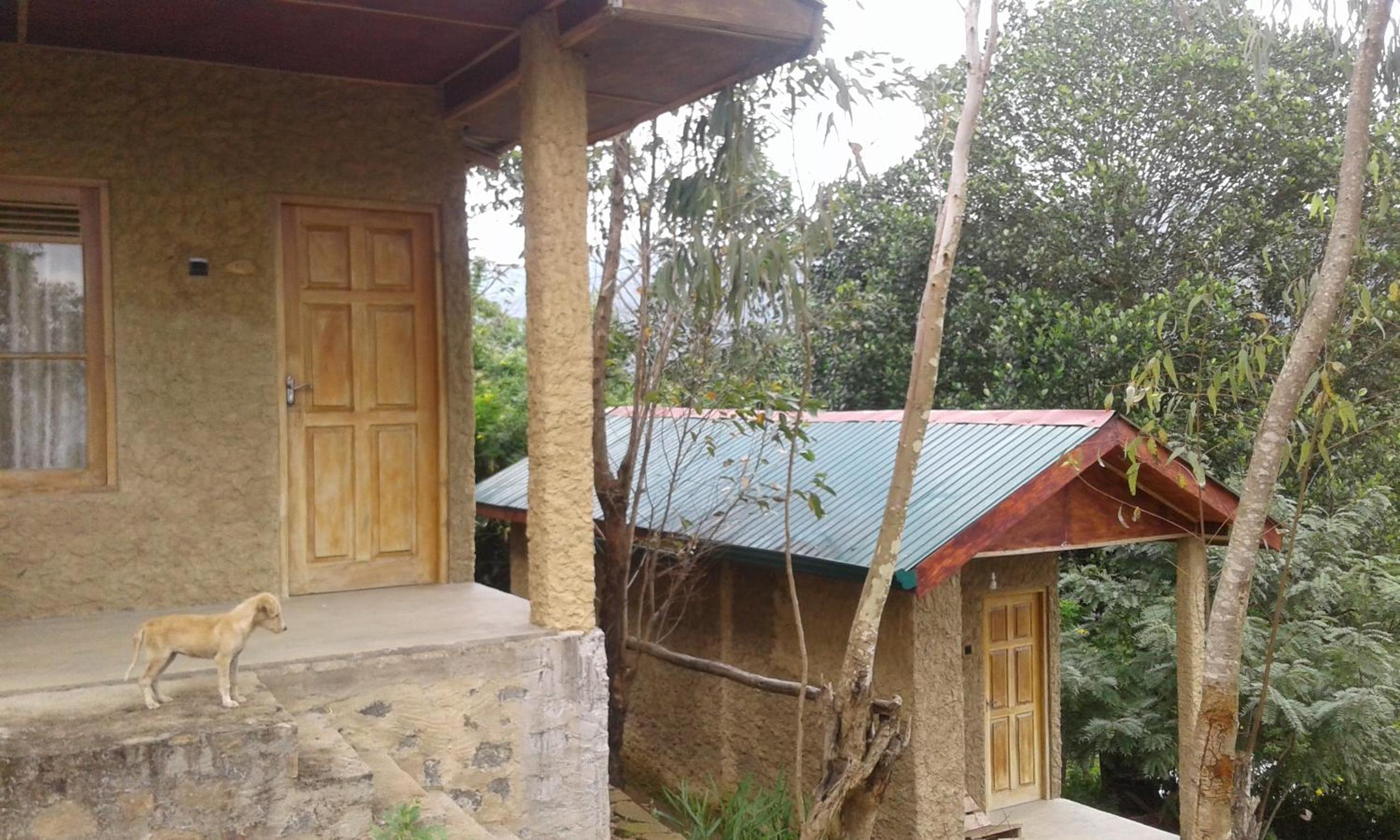 Dew Drop Resort view 4