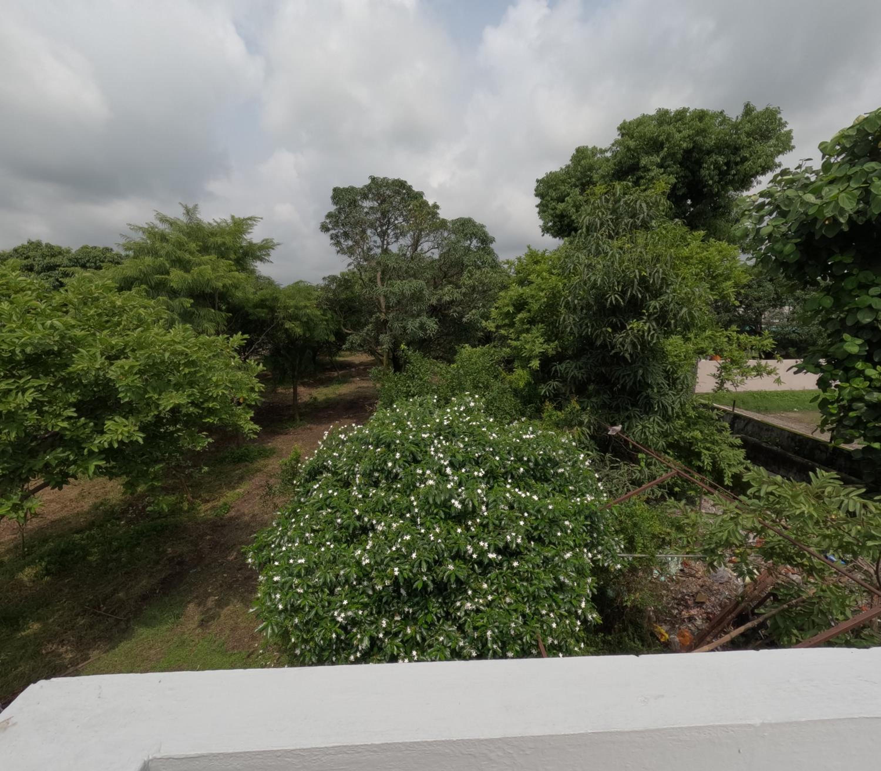 Bagicha farmstay - Near Jolly Grant Airport view 4