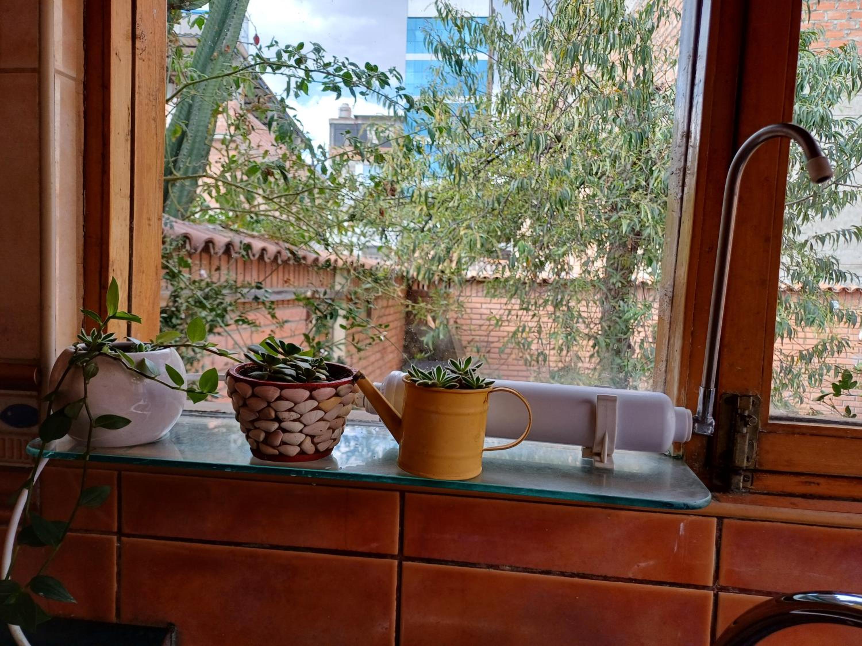 Photo 21