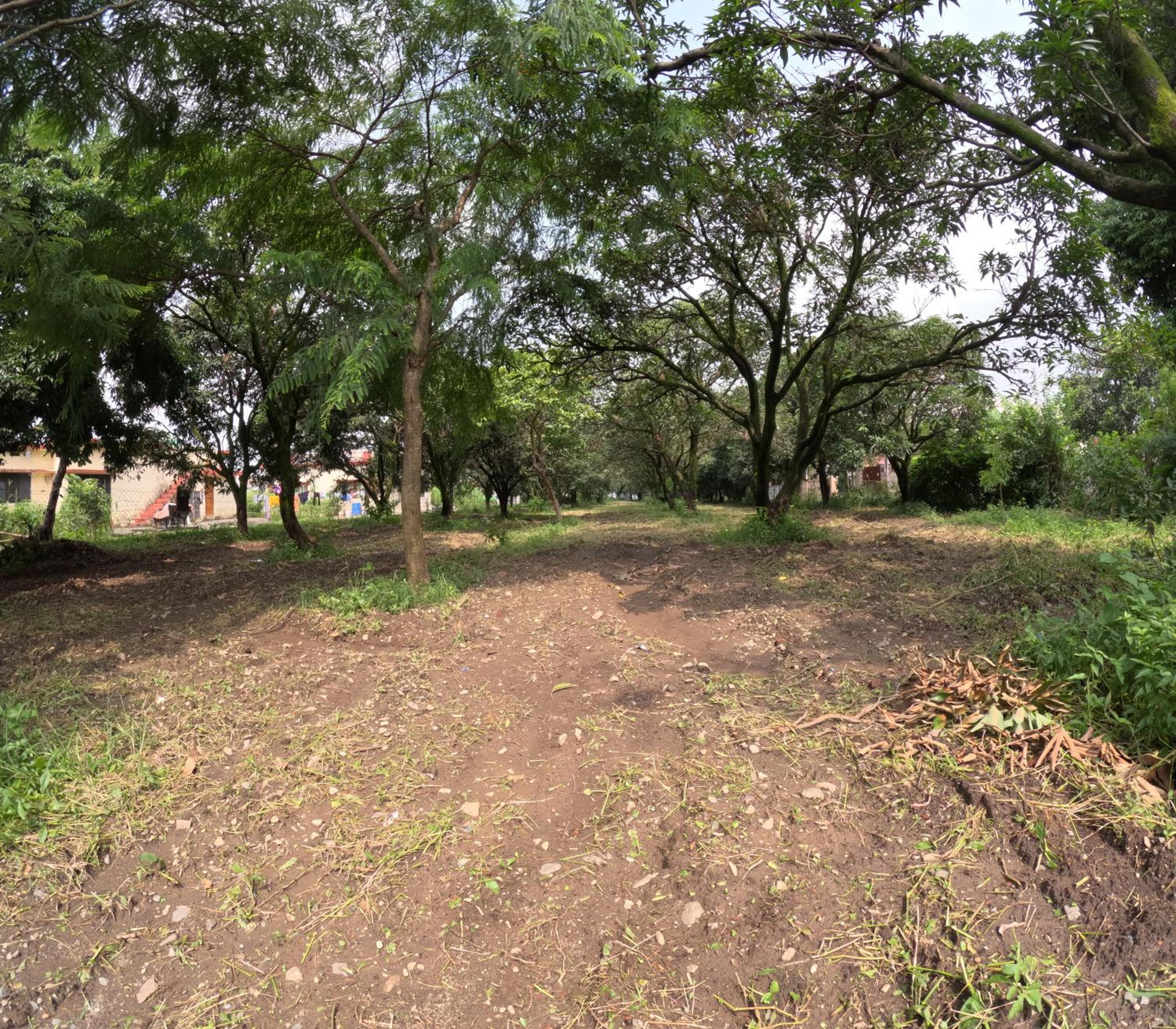 Photo 32