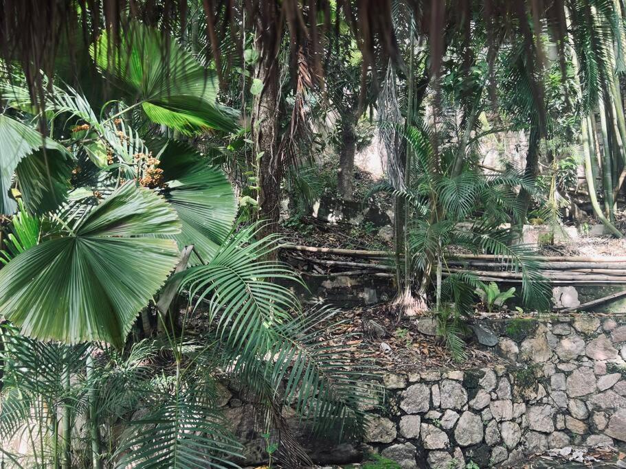Villa Miramar , Central Vallarta