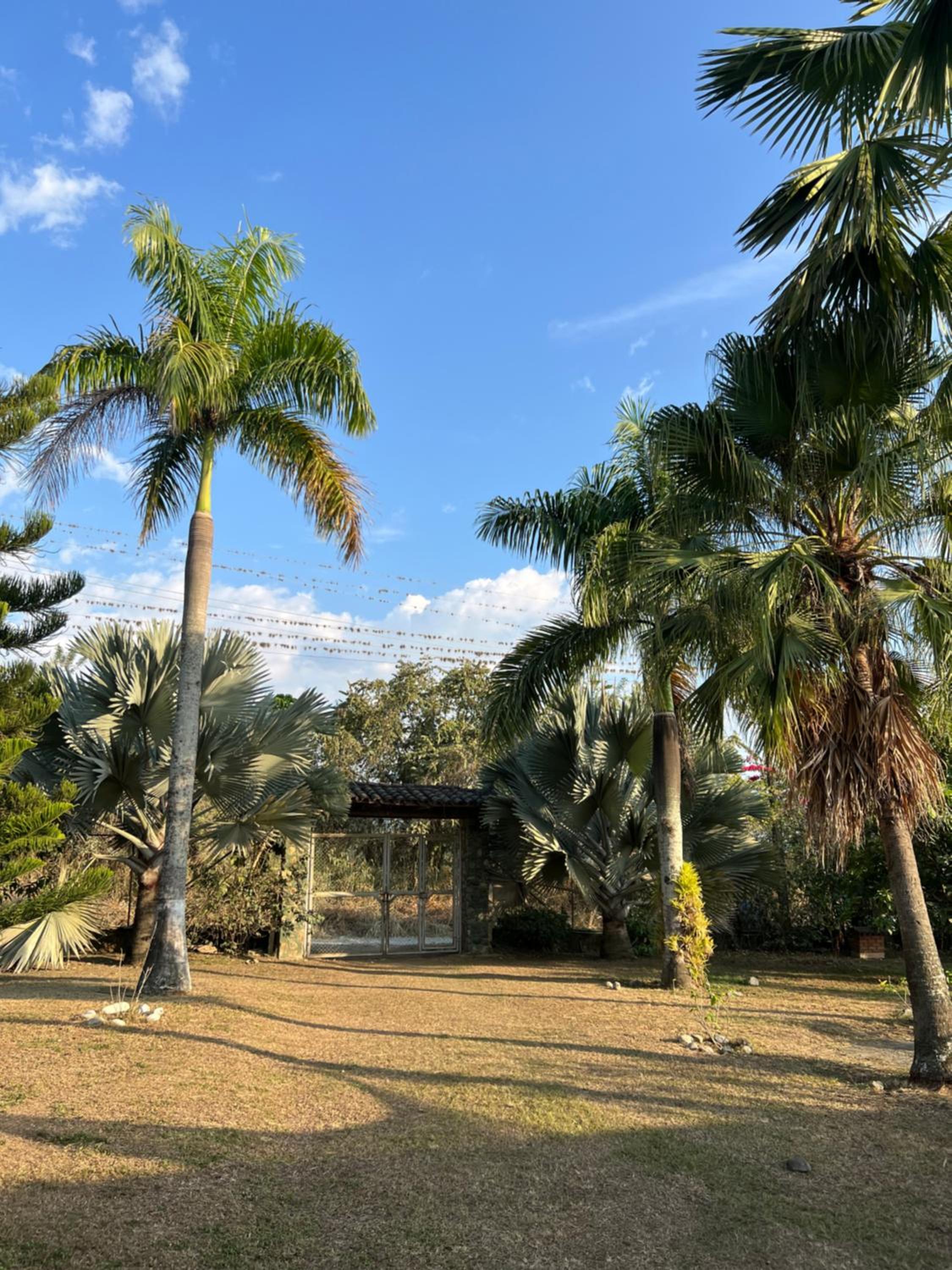 Finca Villa Oliva