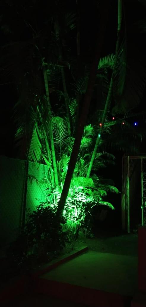 Sherbaug Villa 2BHK Revadanda and Nagaon Nearby Beach view 2