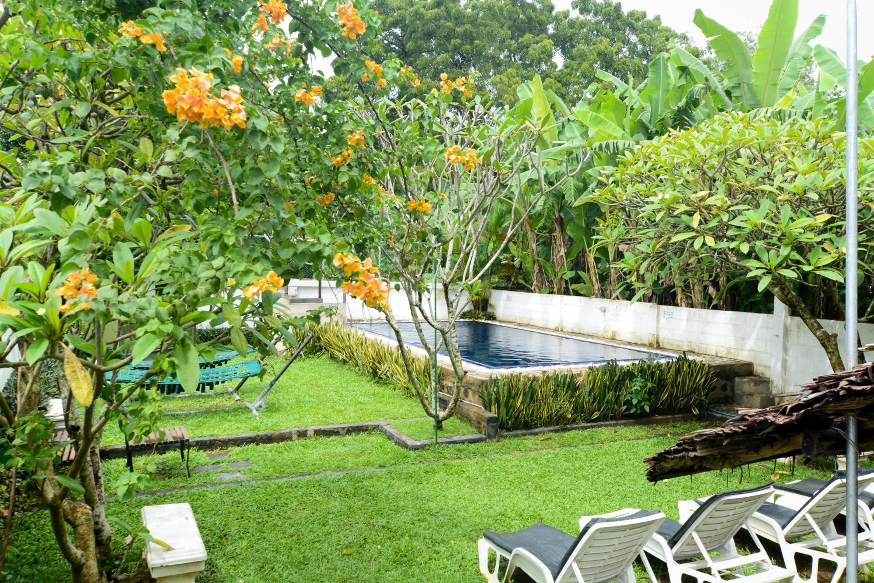 Pavana Resort