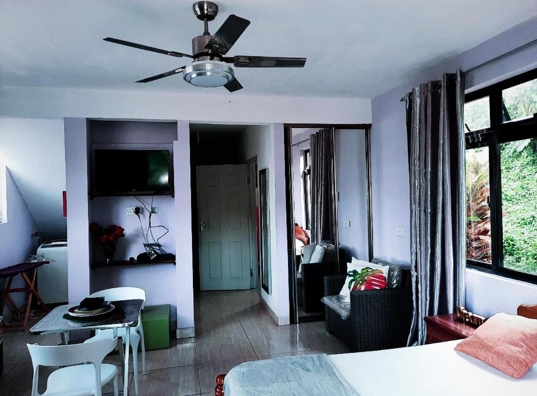 Anne Hillside Apartment photo 5