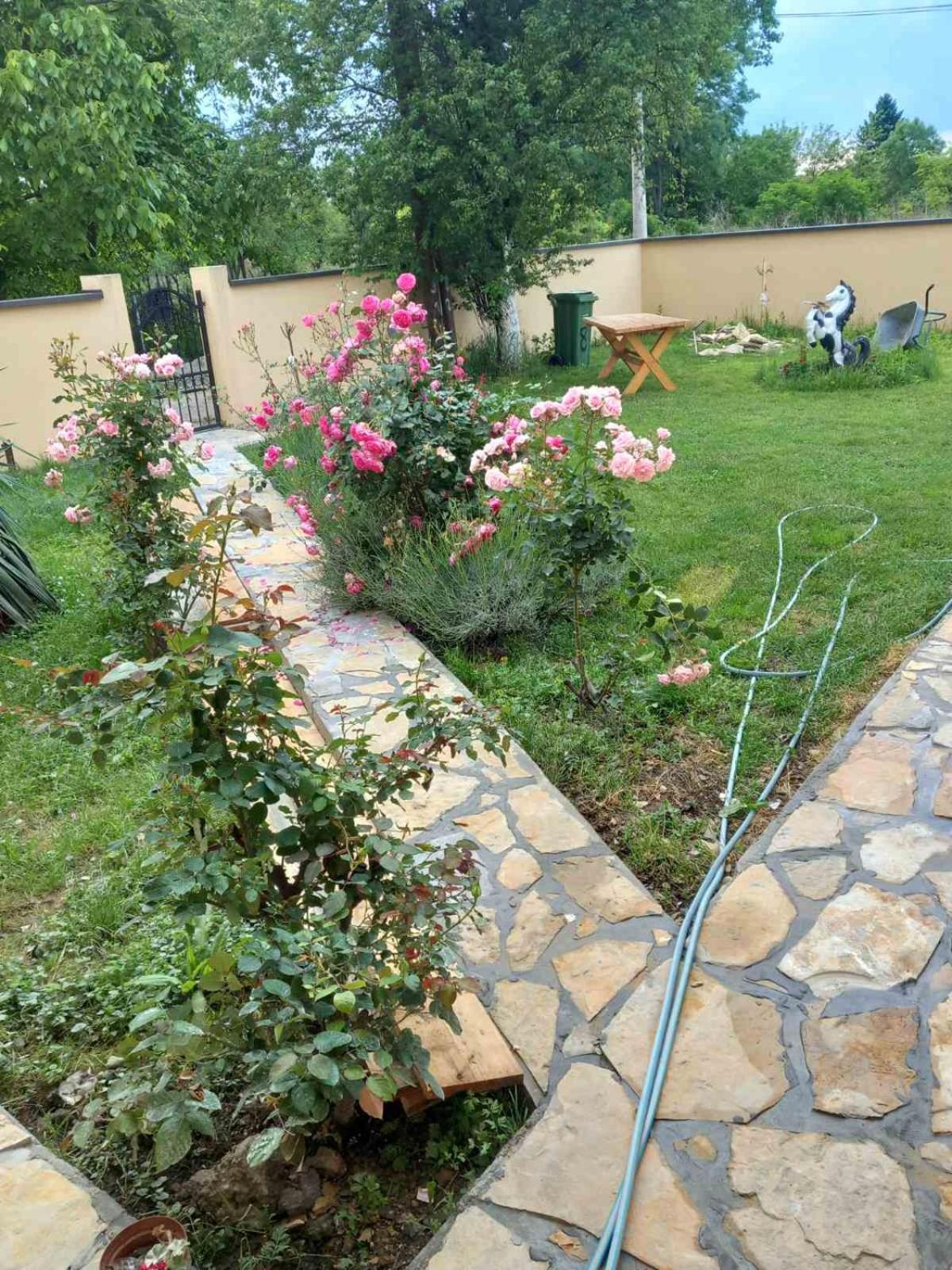 Photo 16