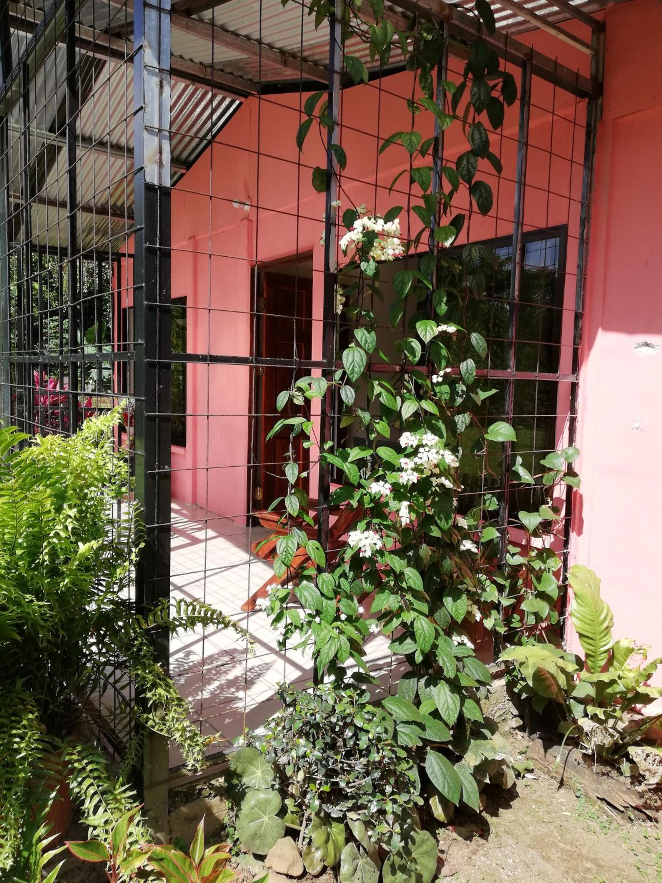 Paraíso Verde