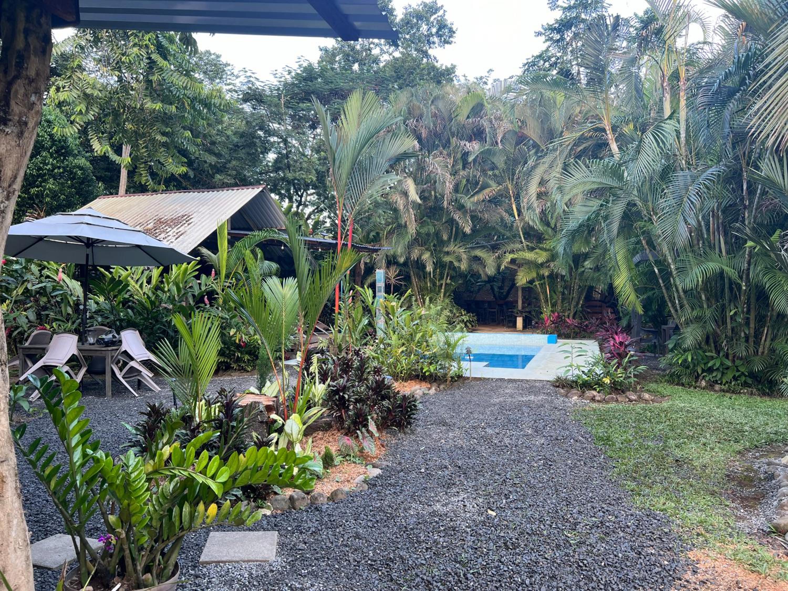 La plantación