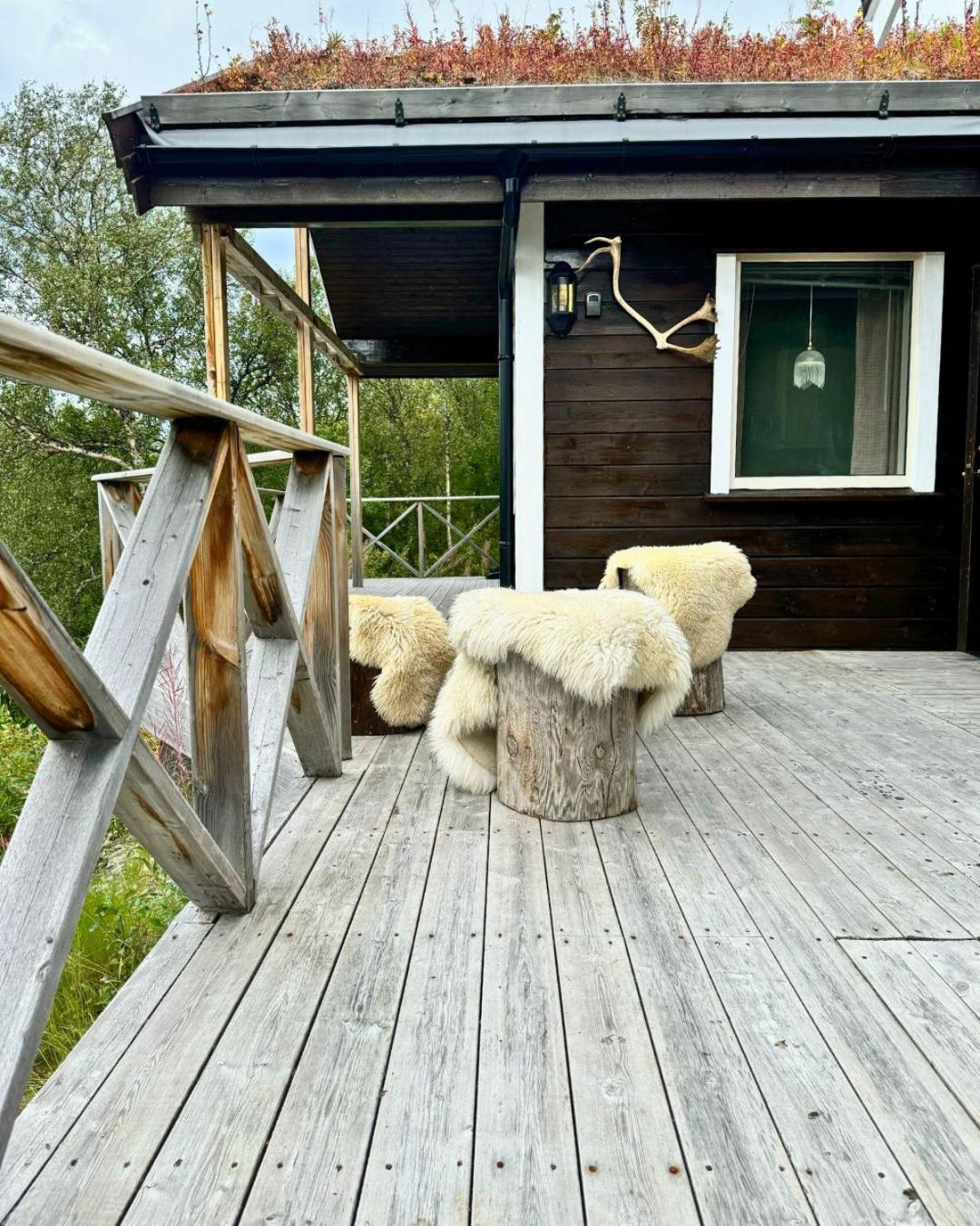 Polar Skaidi Cabin