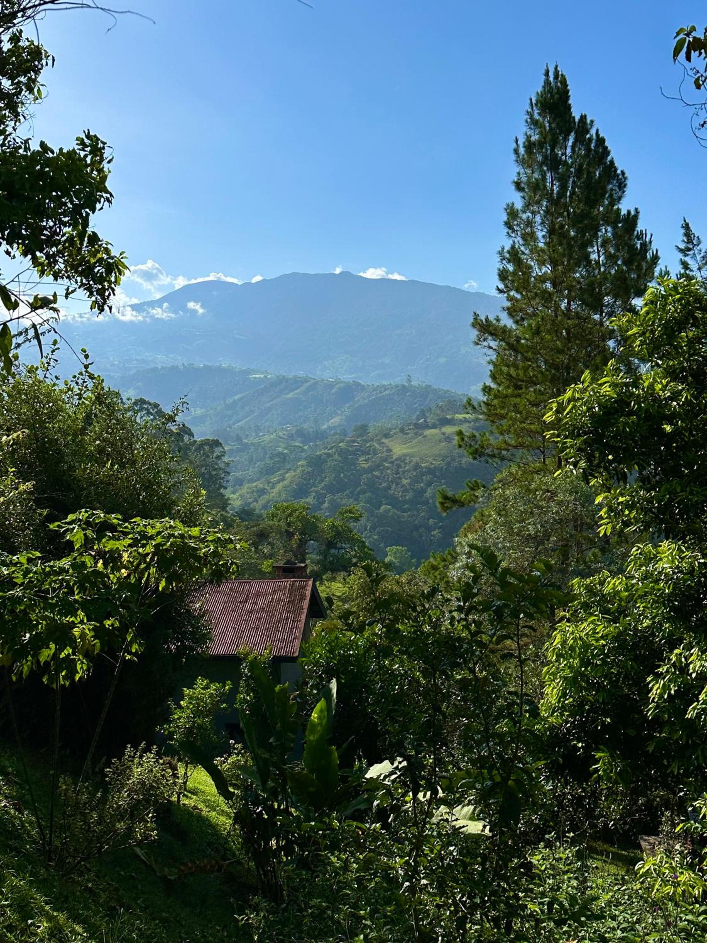 Casa Colibrí