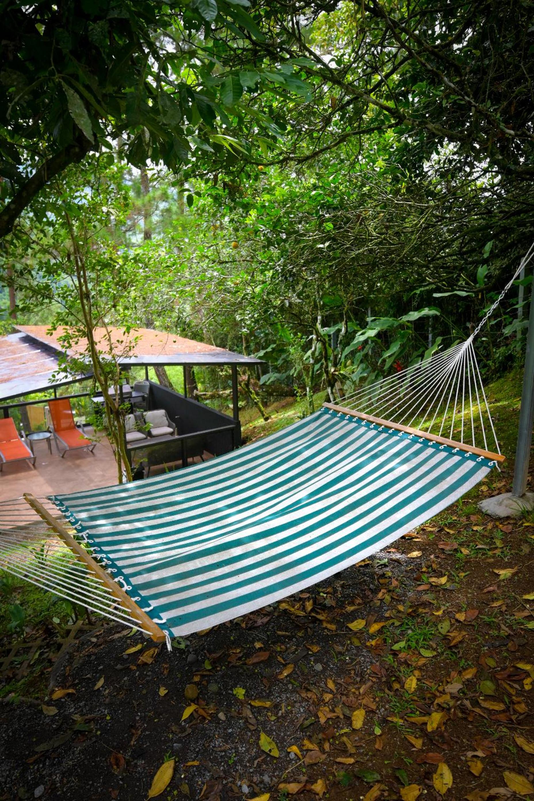Casa Colibrí