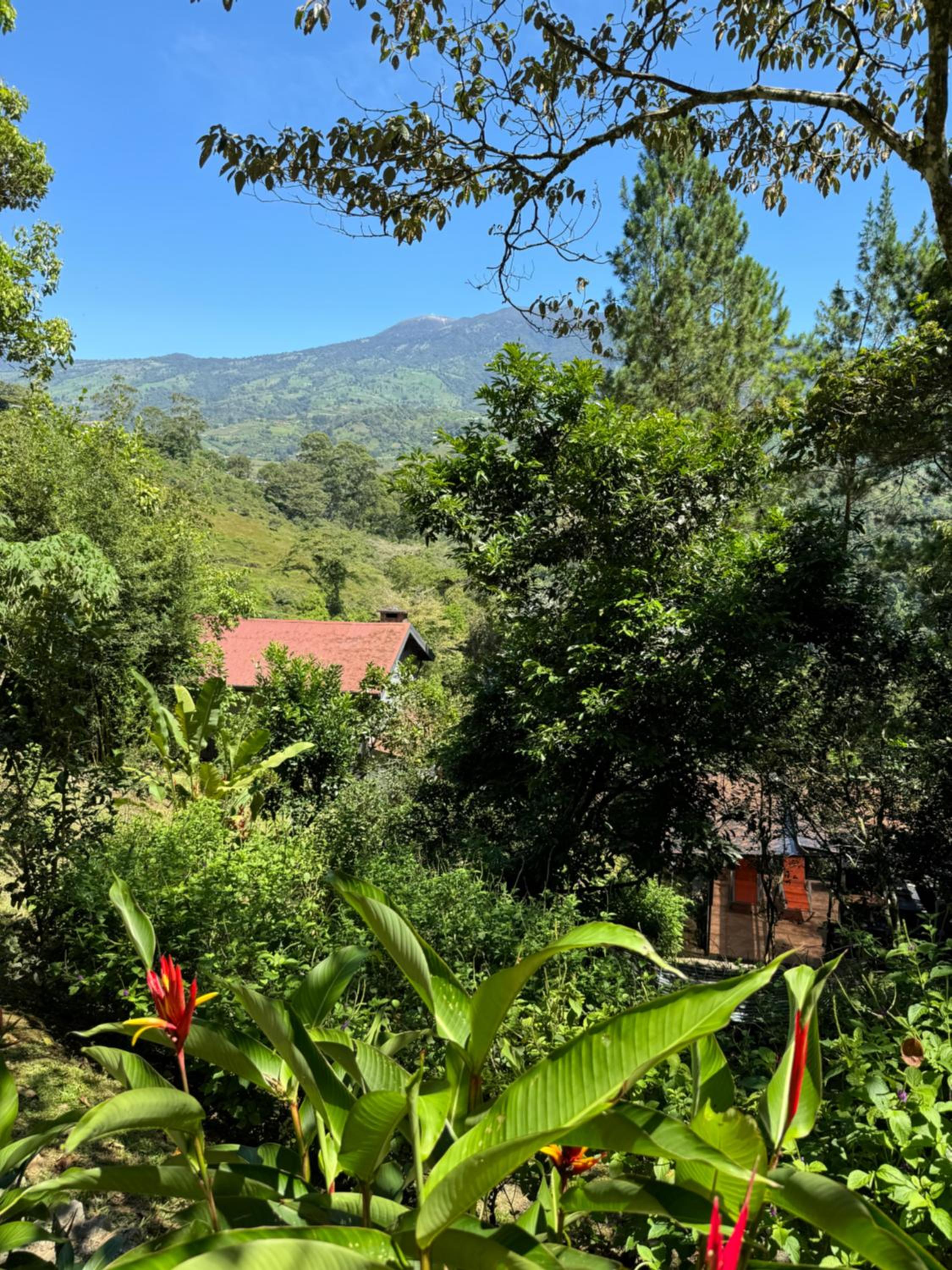 Casa Colibrí