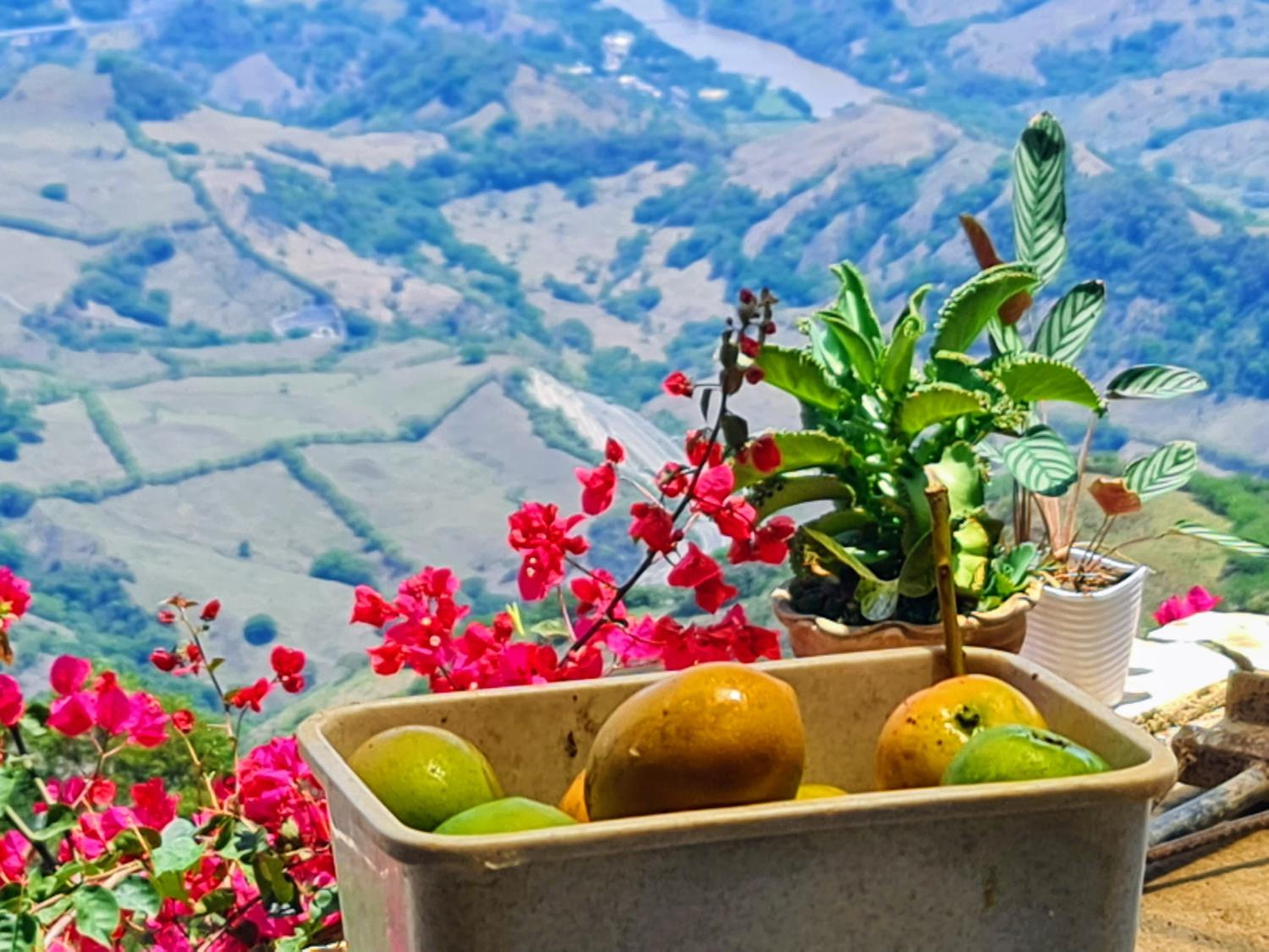 CasaCielo Mirador Del Guamo