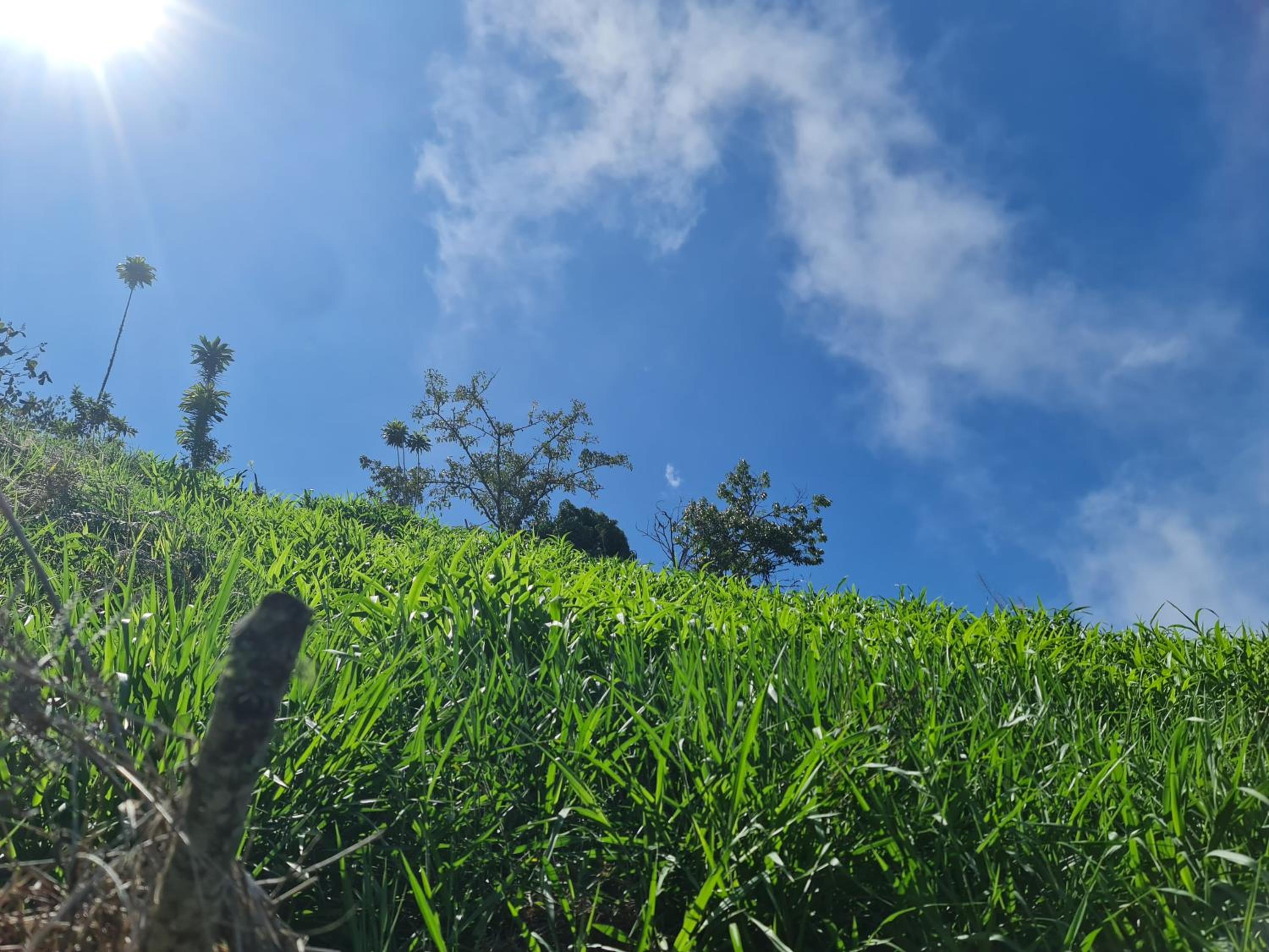 CasaCielo Mirador Del Guamo