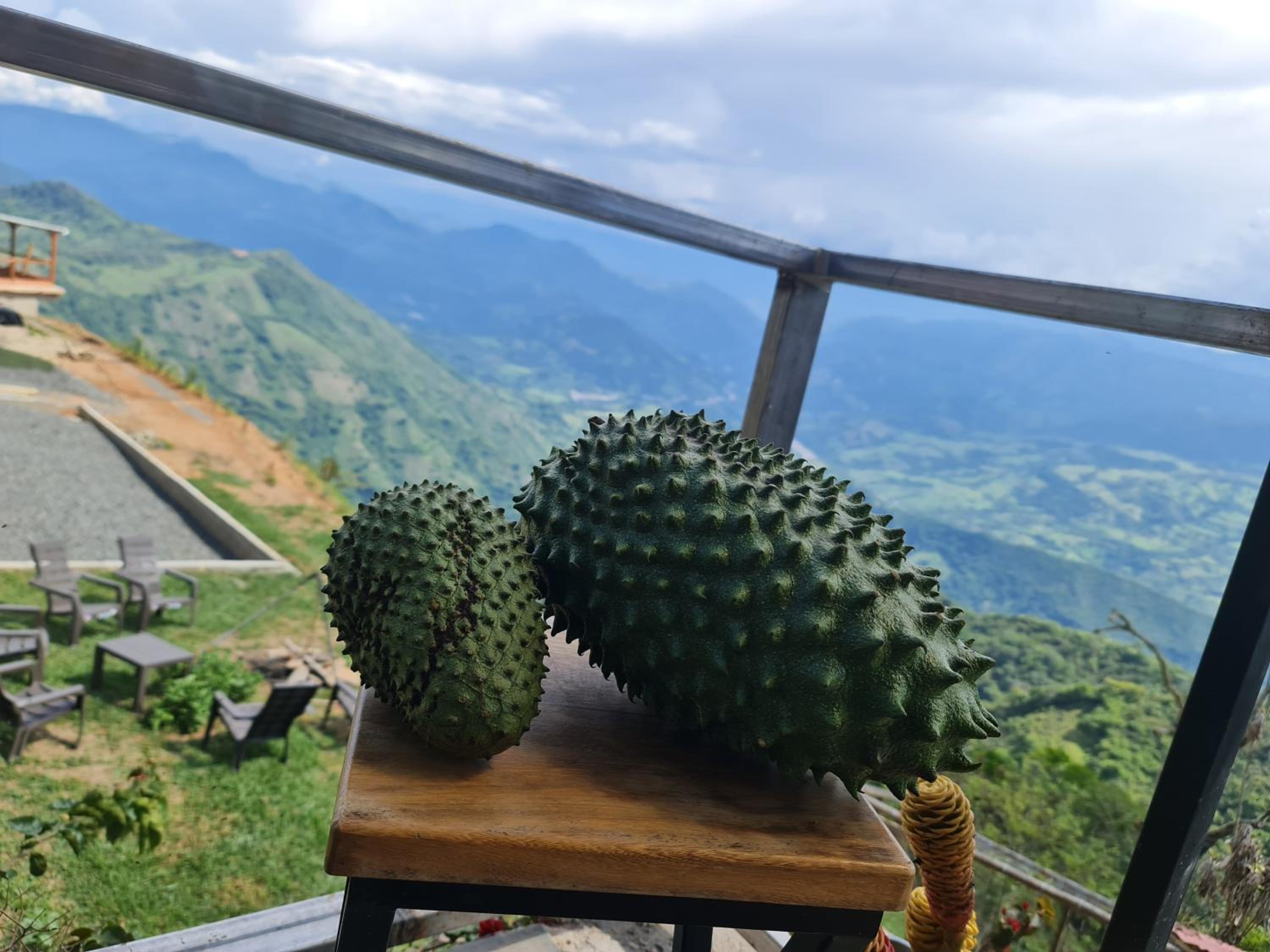 CasaCielo Mirador Del Guamo