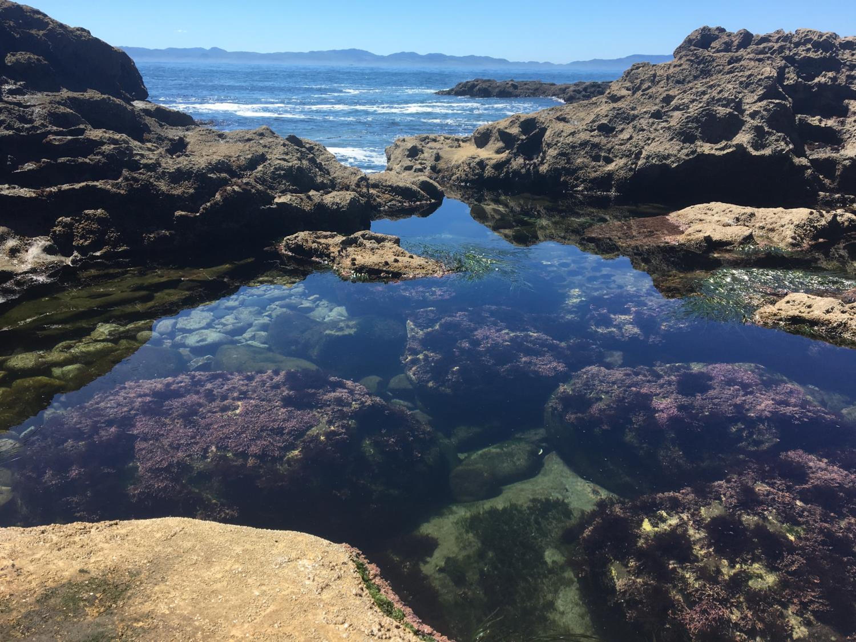Acre By the Sea Guest Suite