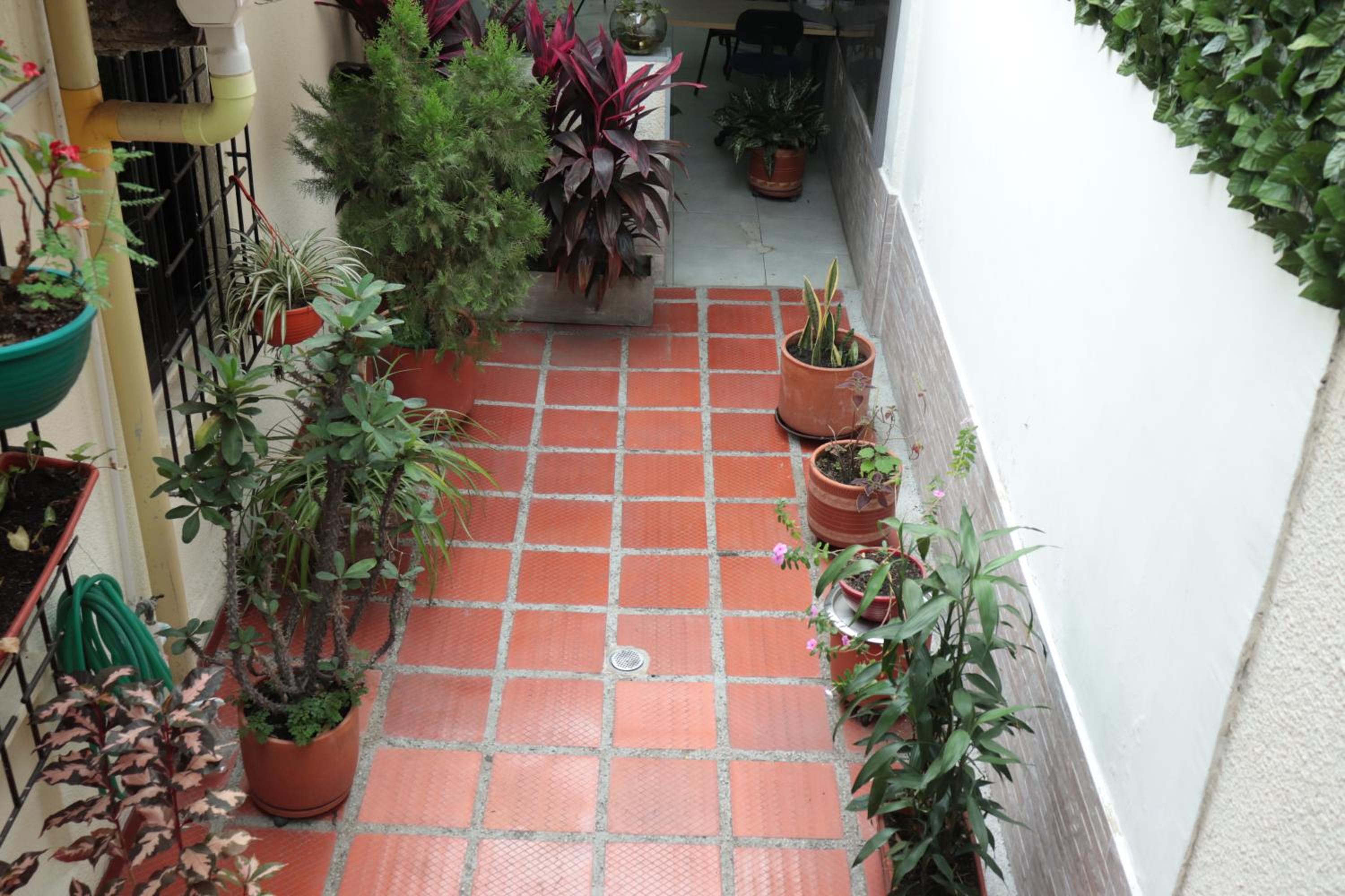 Photo 19