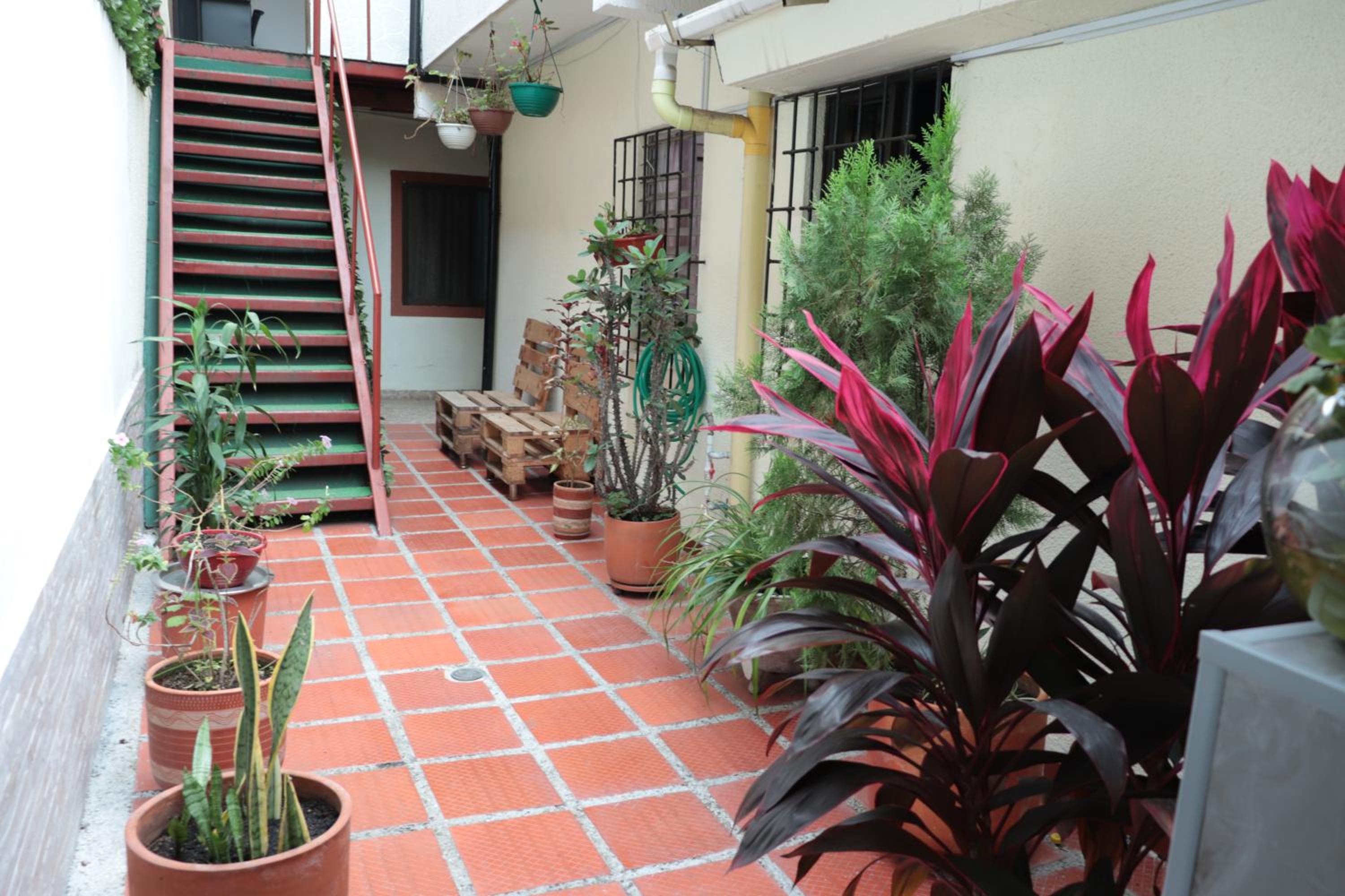 Photo 20