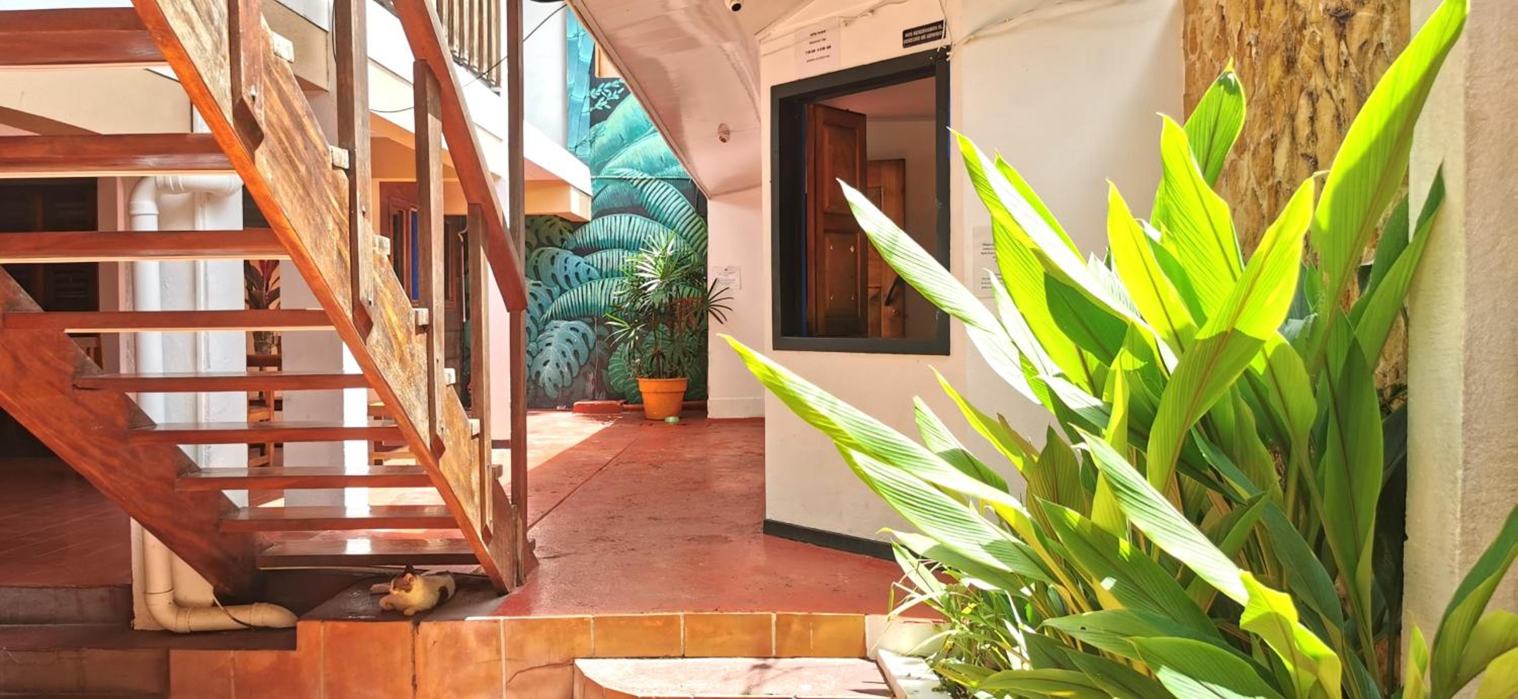 Tajalin Hostel - Montezuma Beach, Central location!