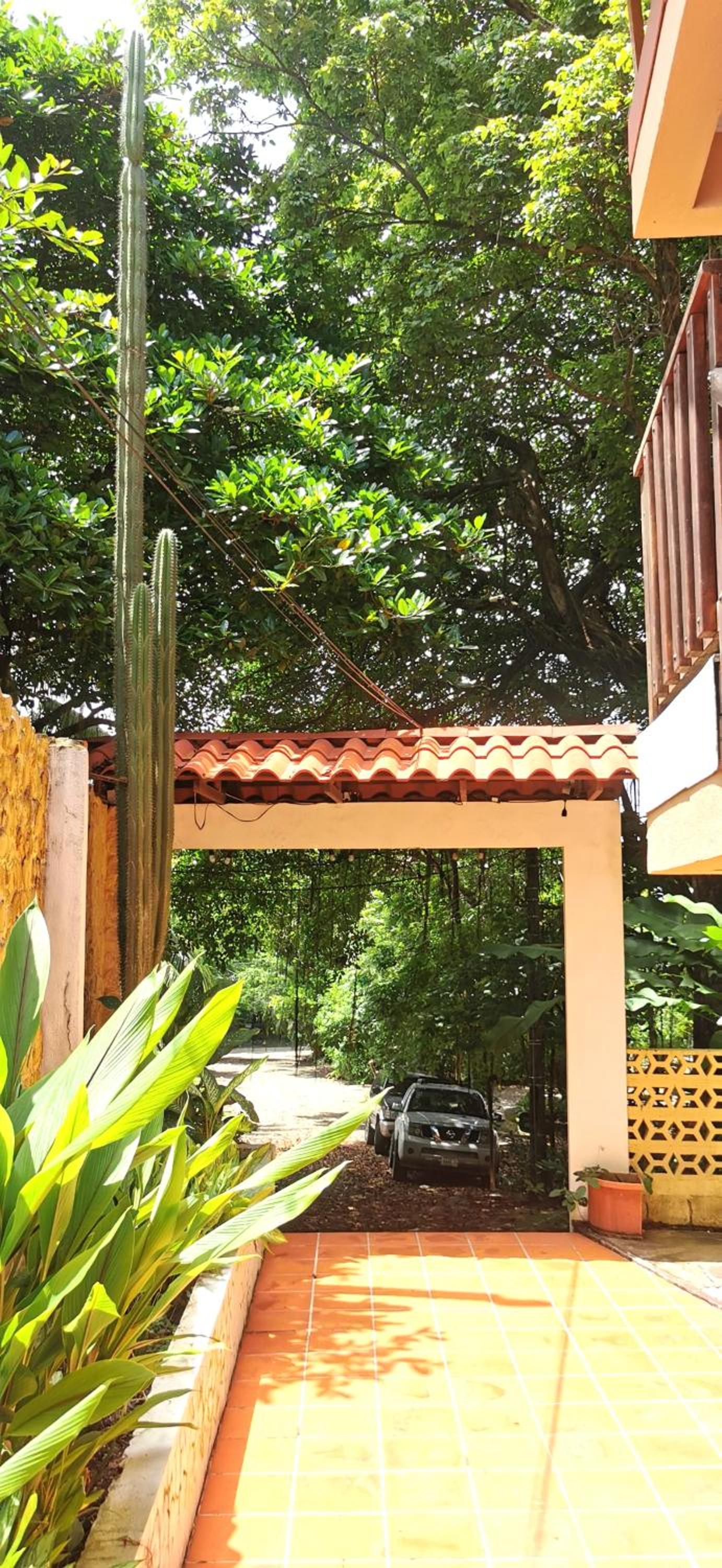 Tajalin Hostel - Montezuma Beach, Central location!