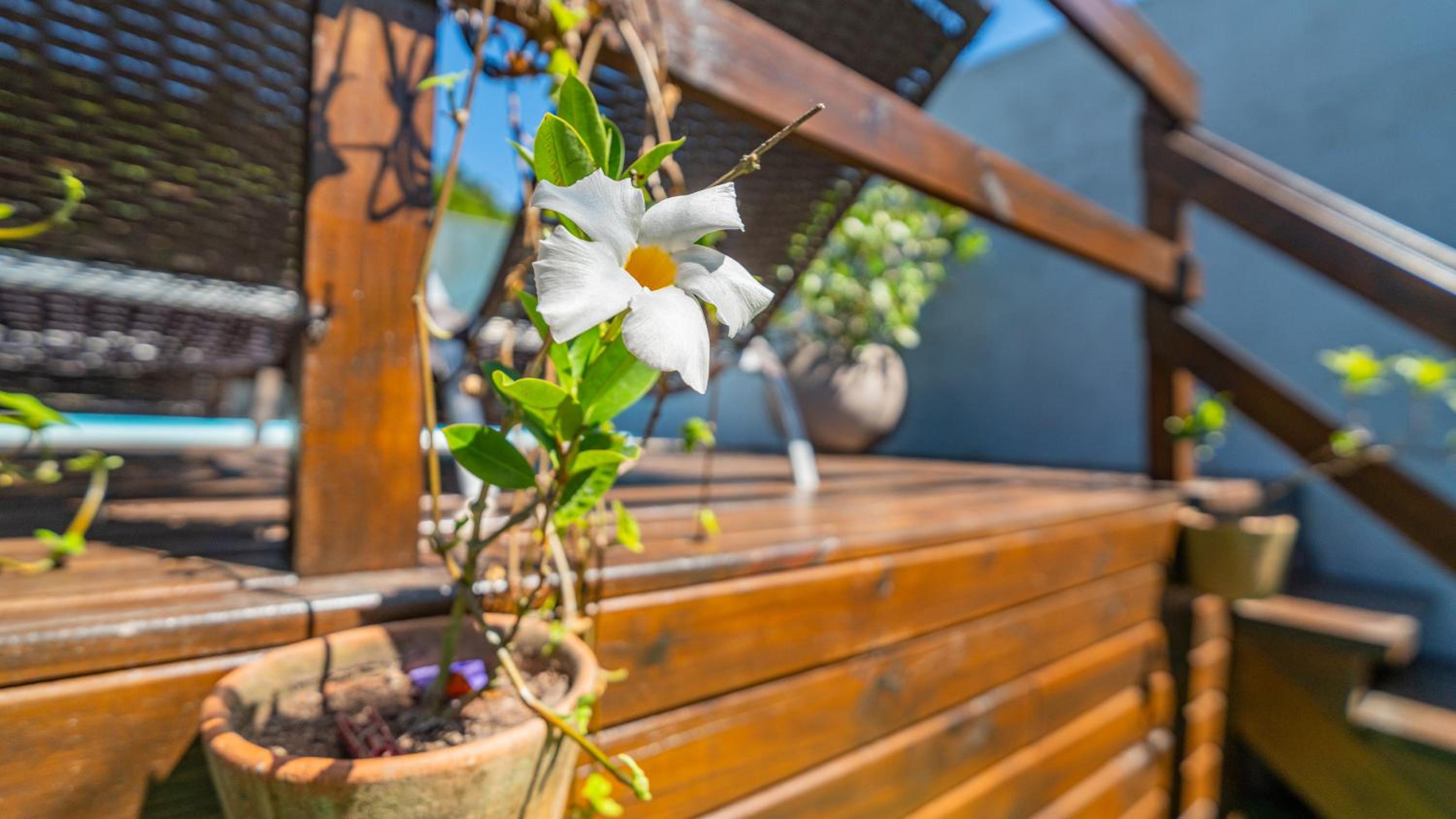 Residencial com Piscina e Jacuzzi com vista para a Natureza