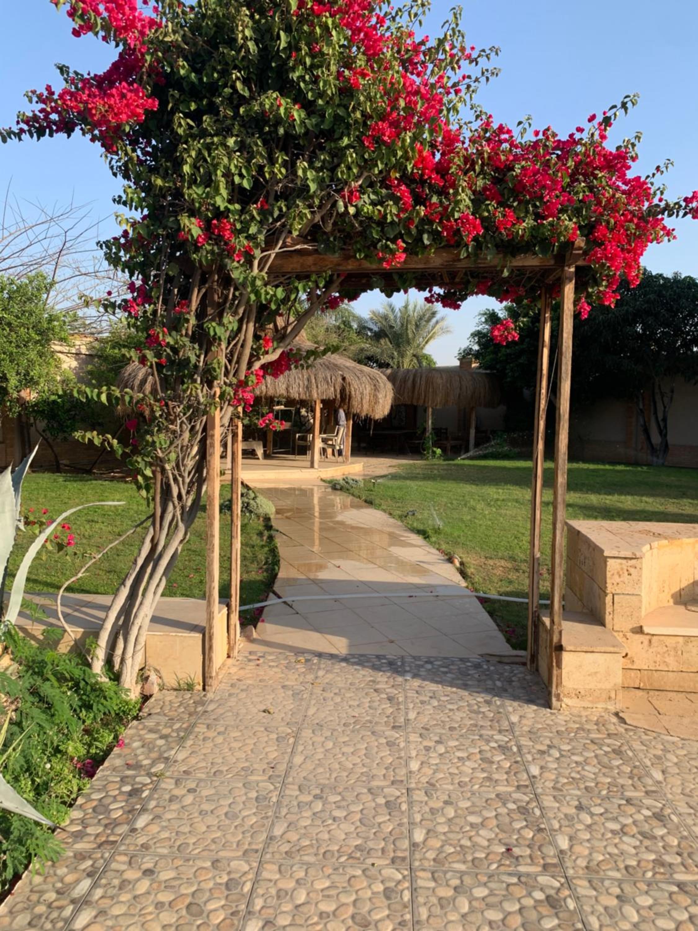 La Rosa Villa