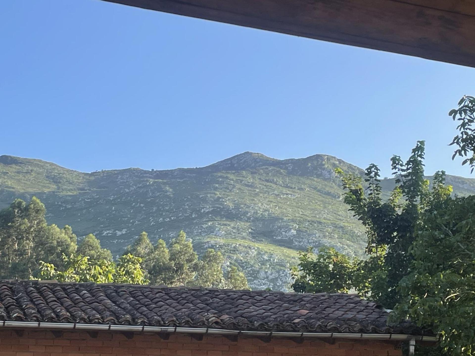 Casa Mariyina