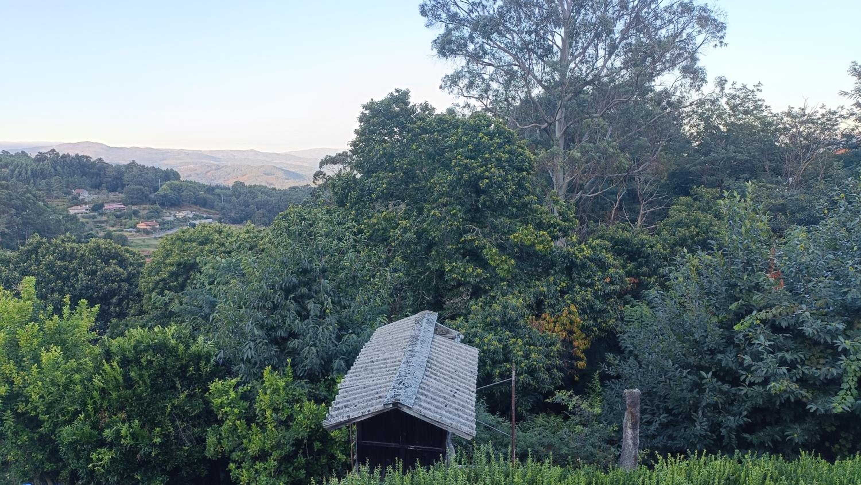 Finca O Pelican en Pontevedra — other