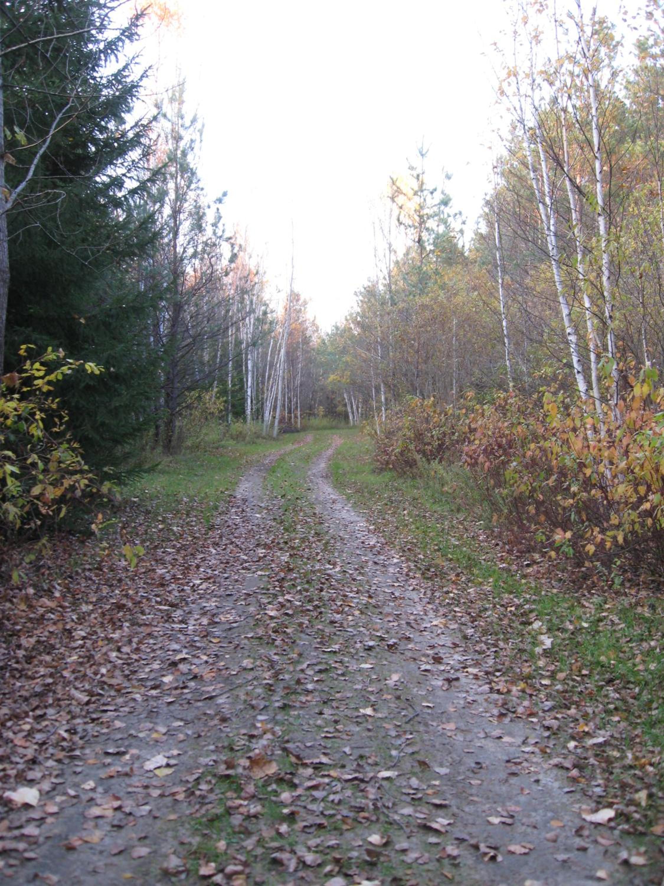 Nottawasaga Hideaway Bed and Breakfast