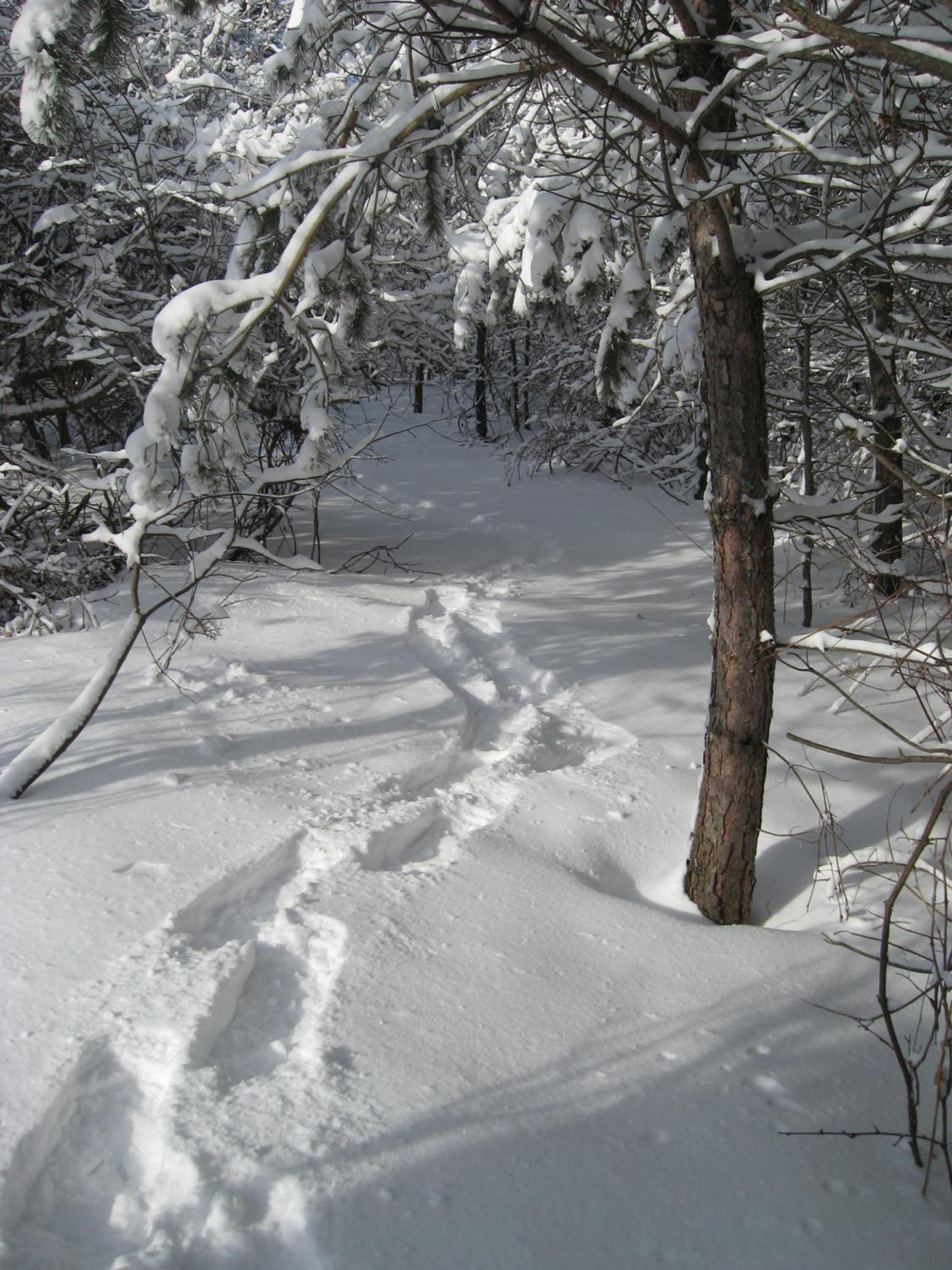 Nottawasaga Hideaway Bed and Breakfast