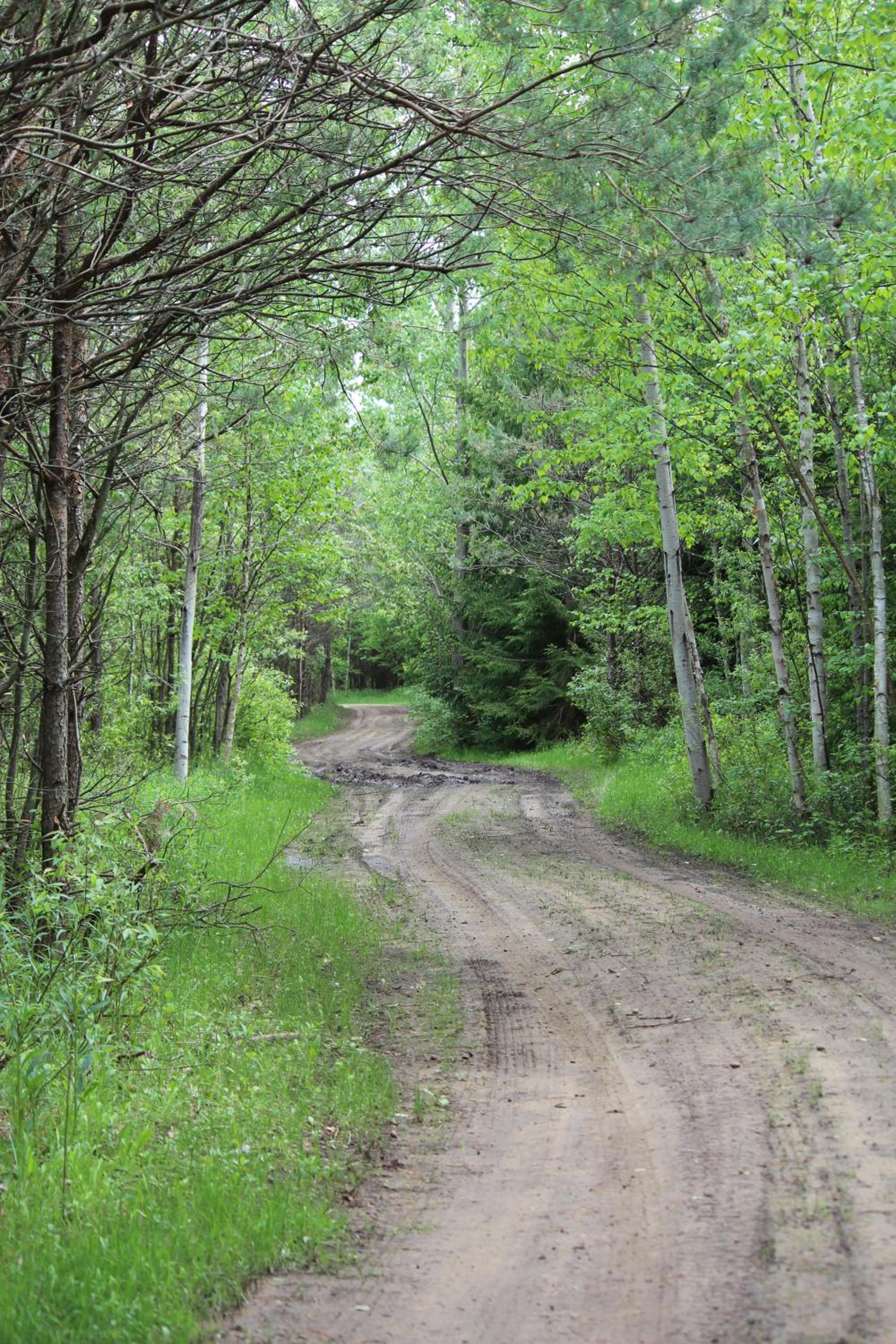Nottawasaga Hideaway Bed and Breakfast