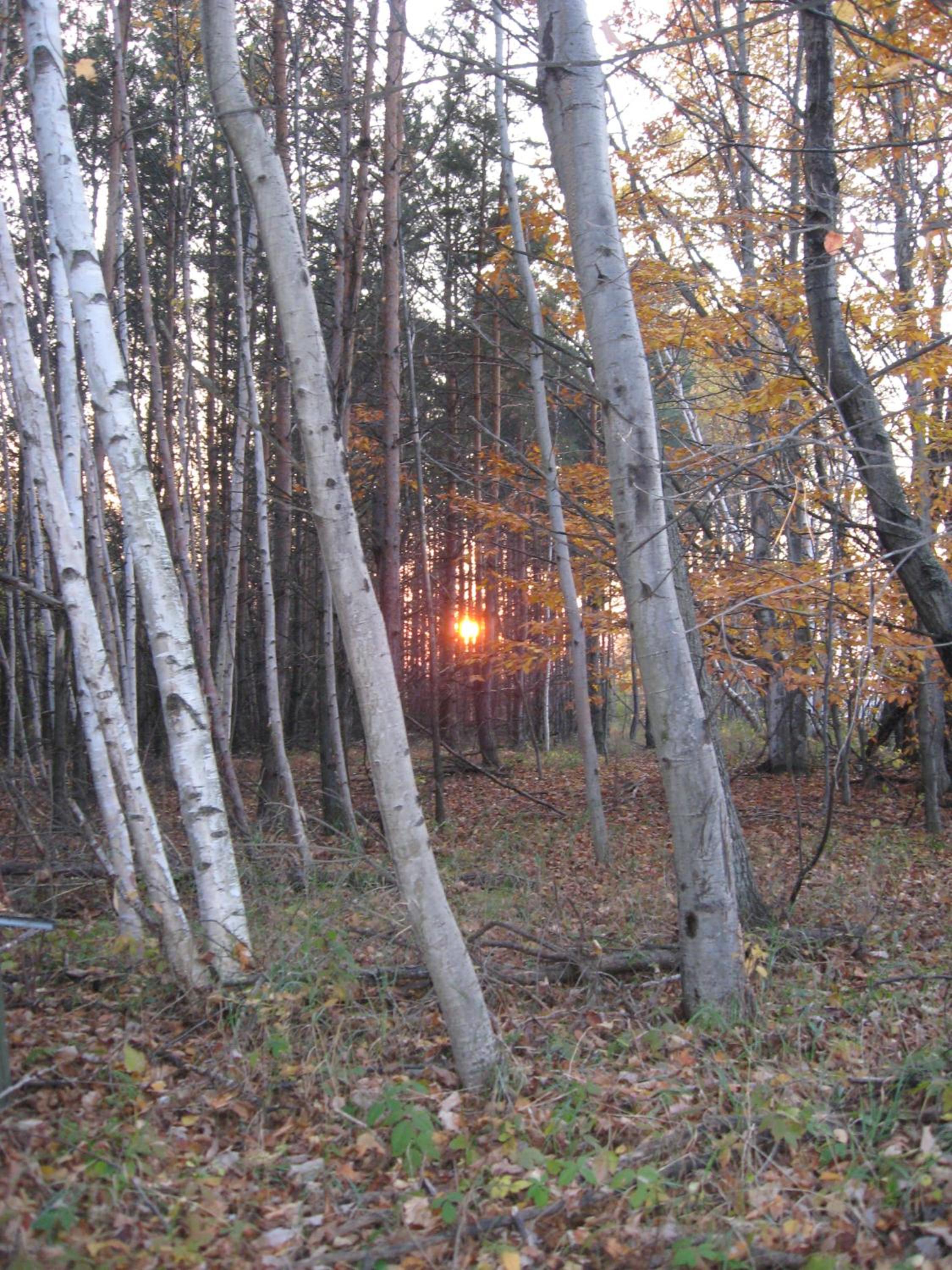 Nottawasaga Hideaway Bed and Breakfast