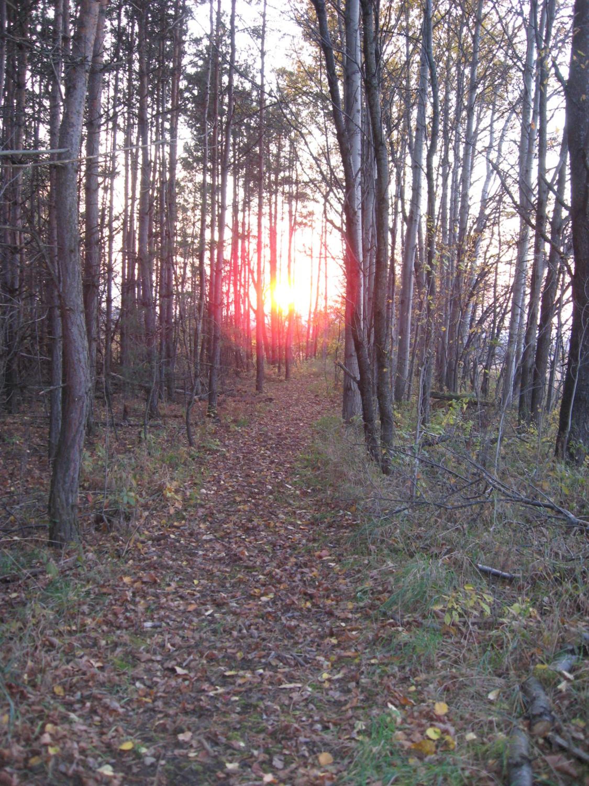Nottawasaga Hideaway Bed and Breakfast
