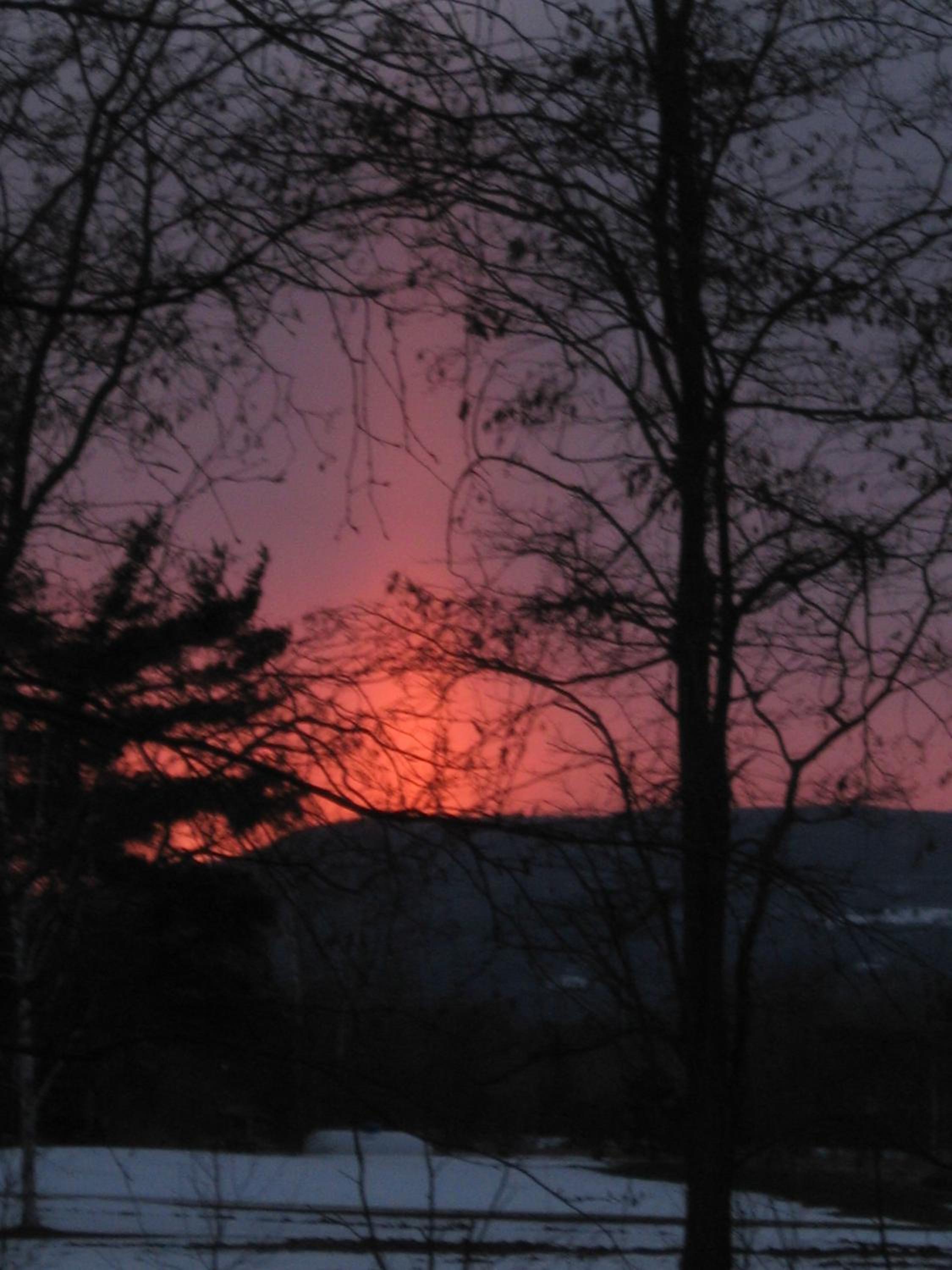Nottawasaga Hideaway Bed and Breakfast