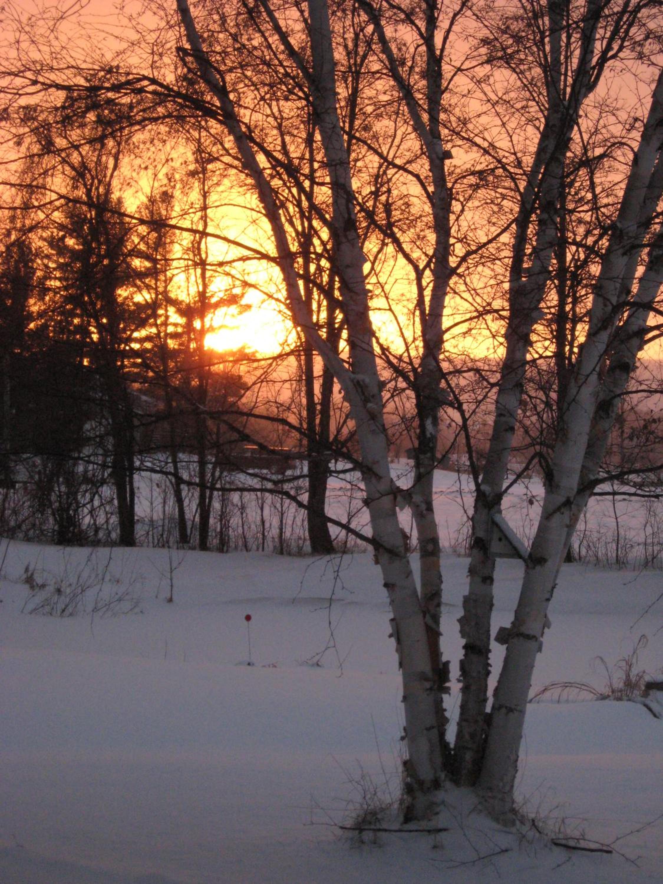 Nottawasaga Hideaway Bed and Breakfast